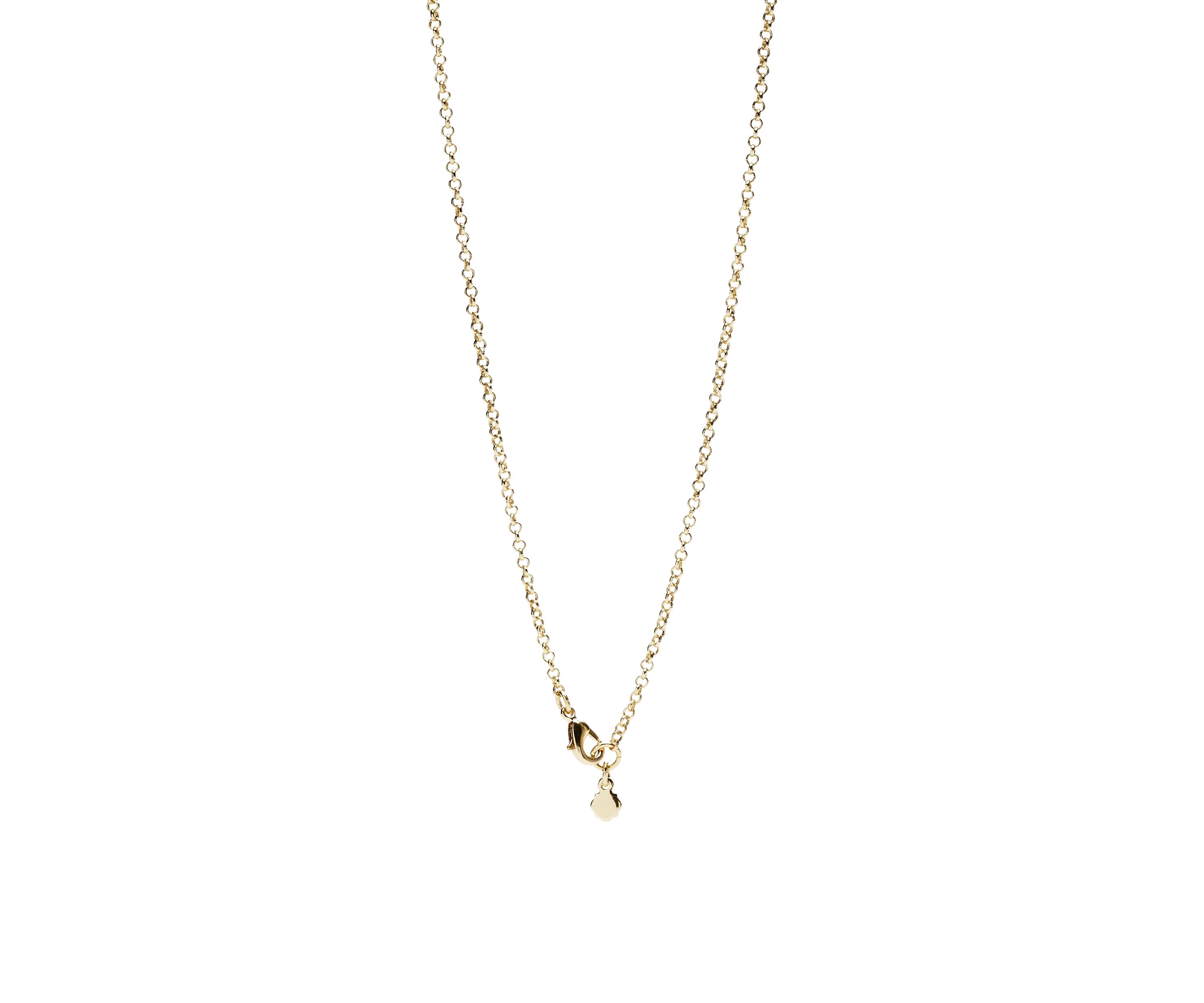 Gold Tone 36" Tortoise Necklace