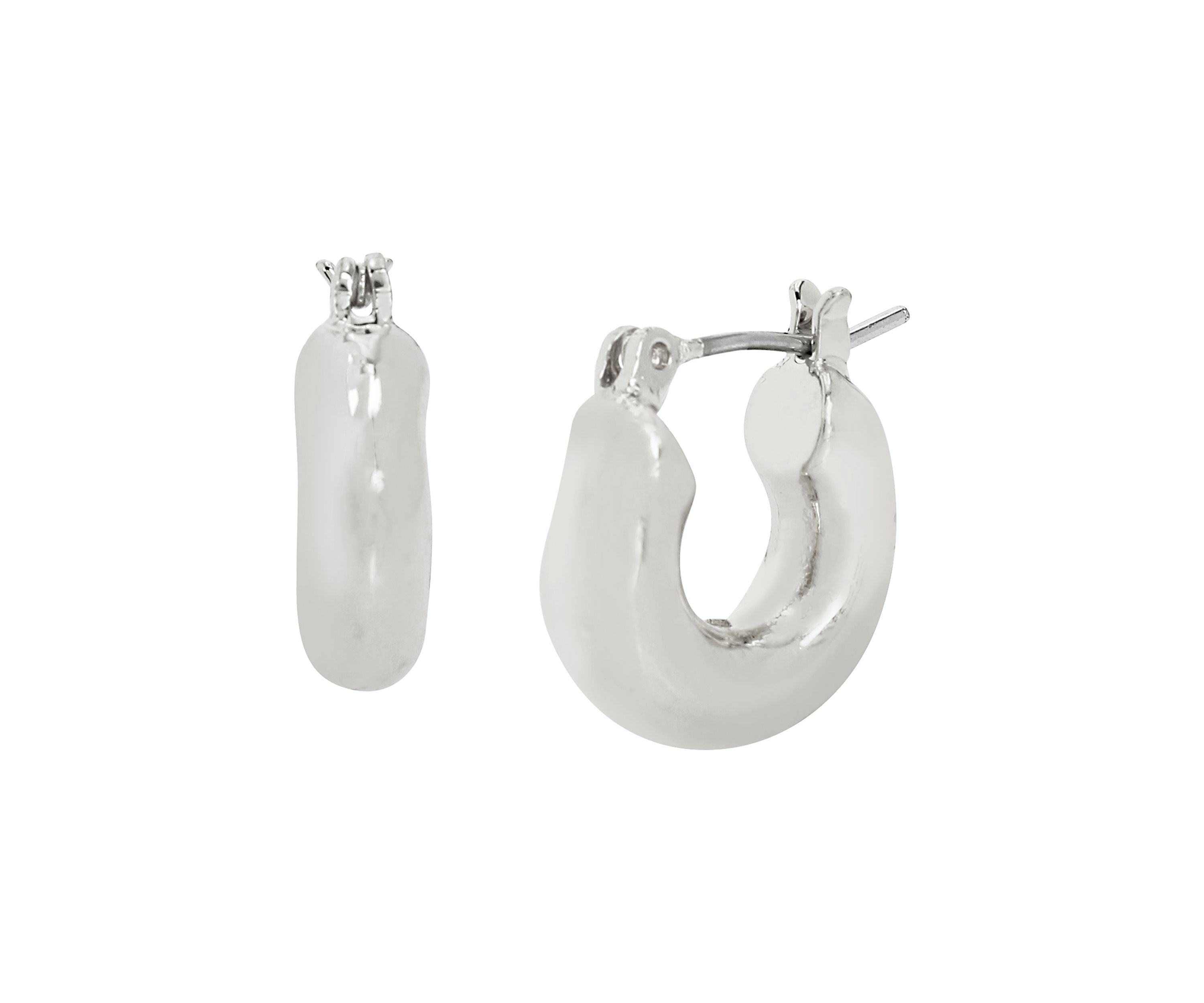 Sculpted Hoop Earrings