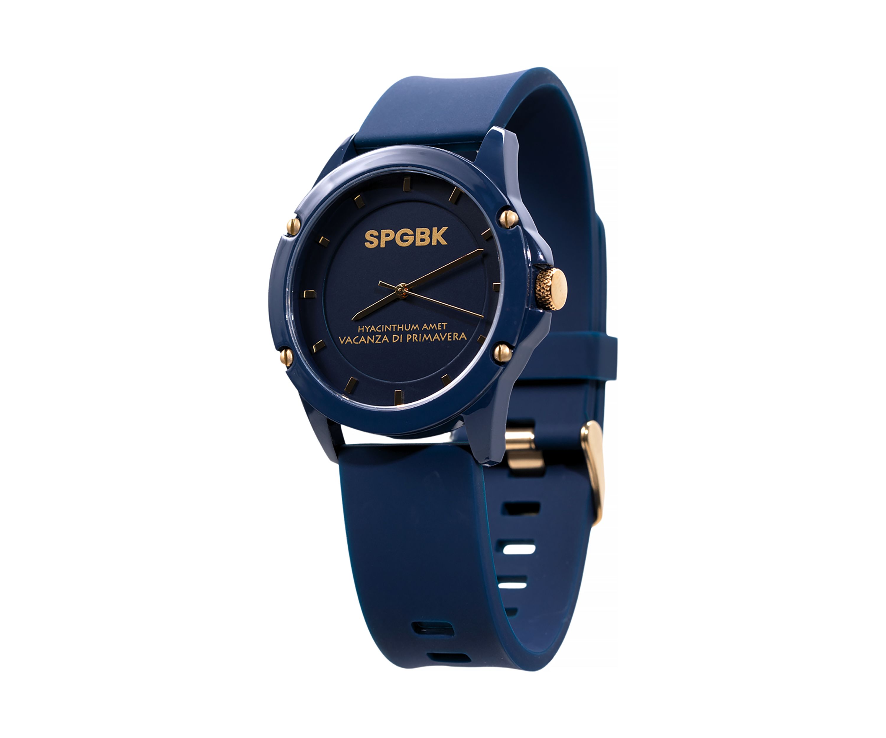 Unisex Smith Navy and Gold Watch