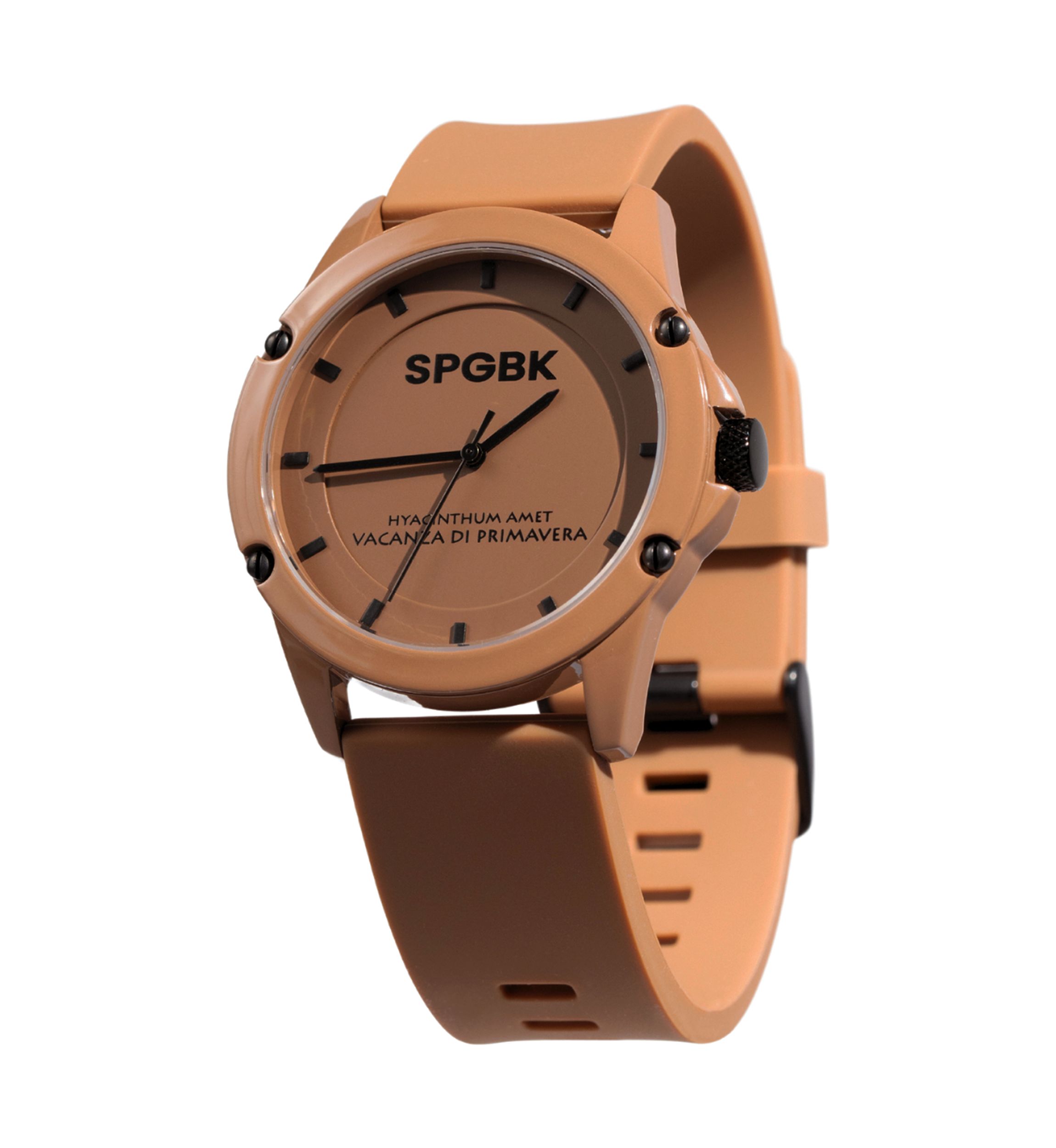 Unisex Sandhill Watch