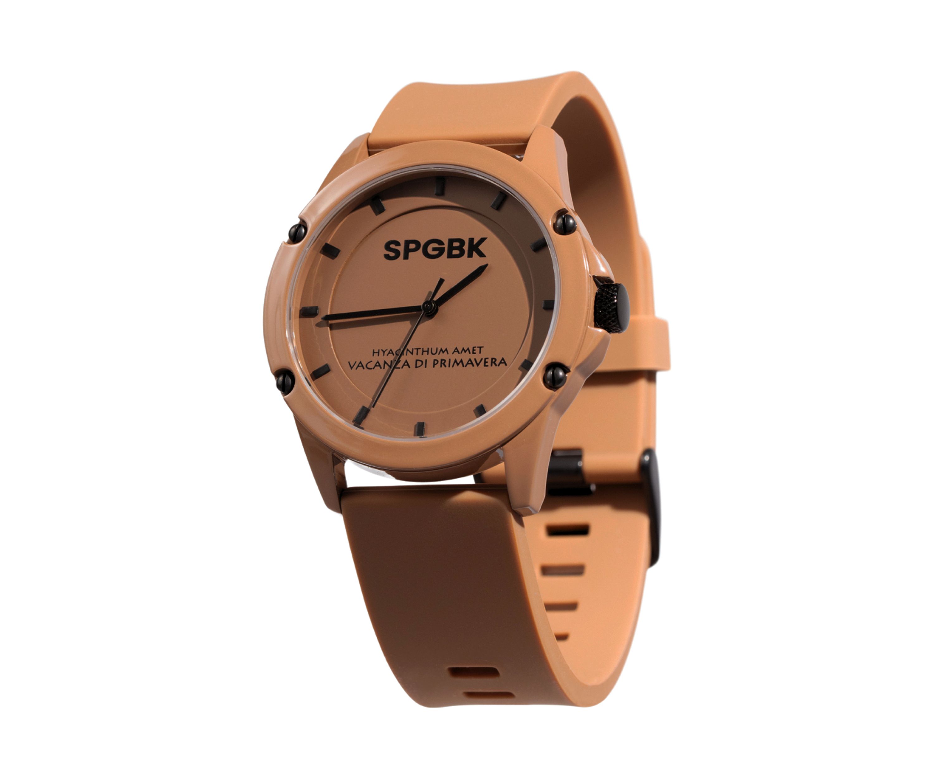 Unisex Sandhill Watch