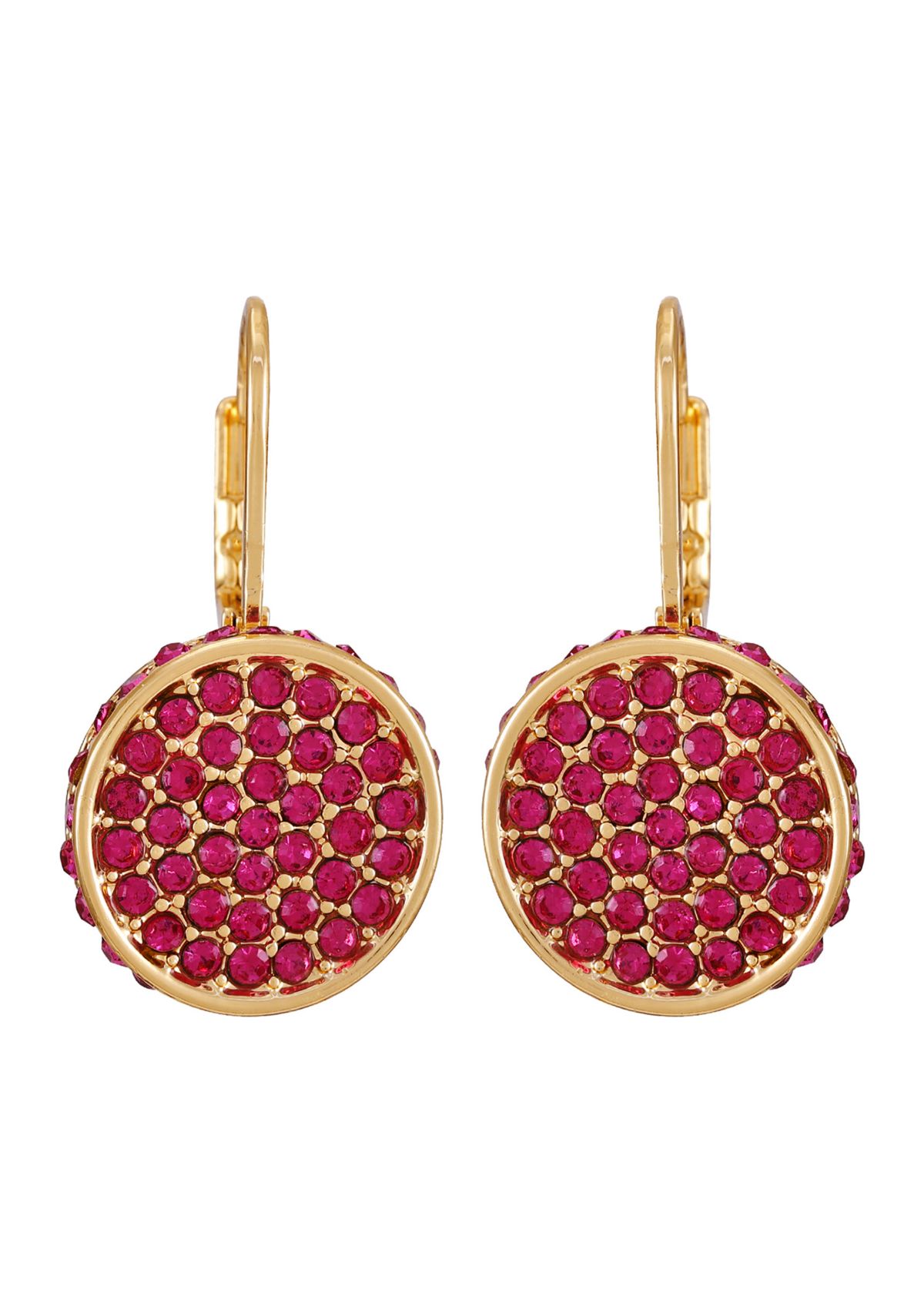 Lever Back Circle Earrings