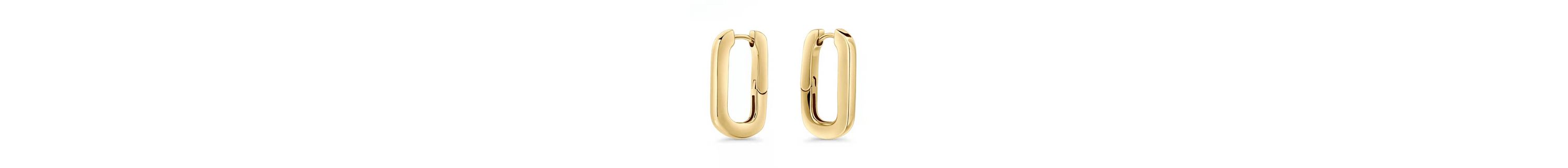 The Dangle Hoop Earrings