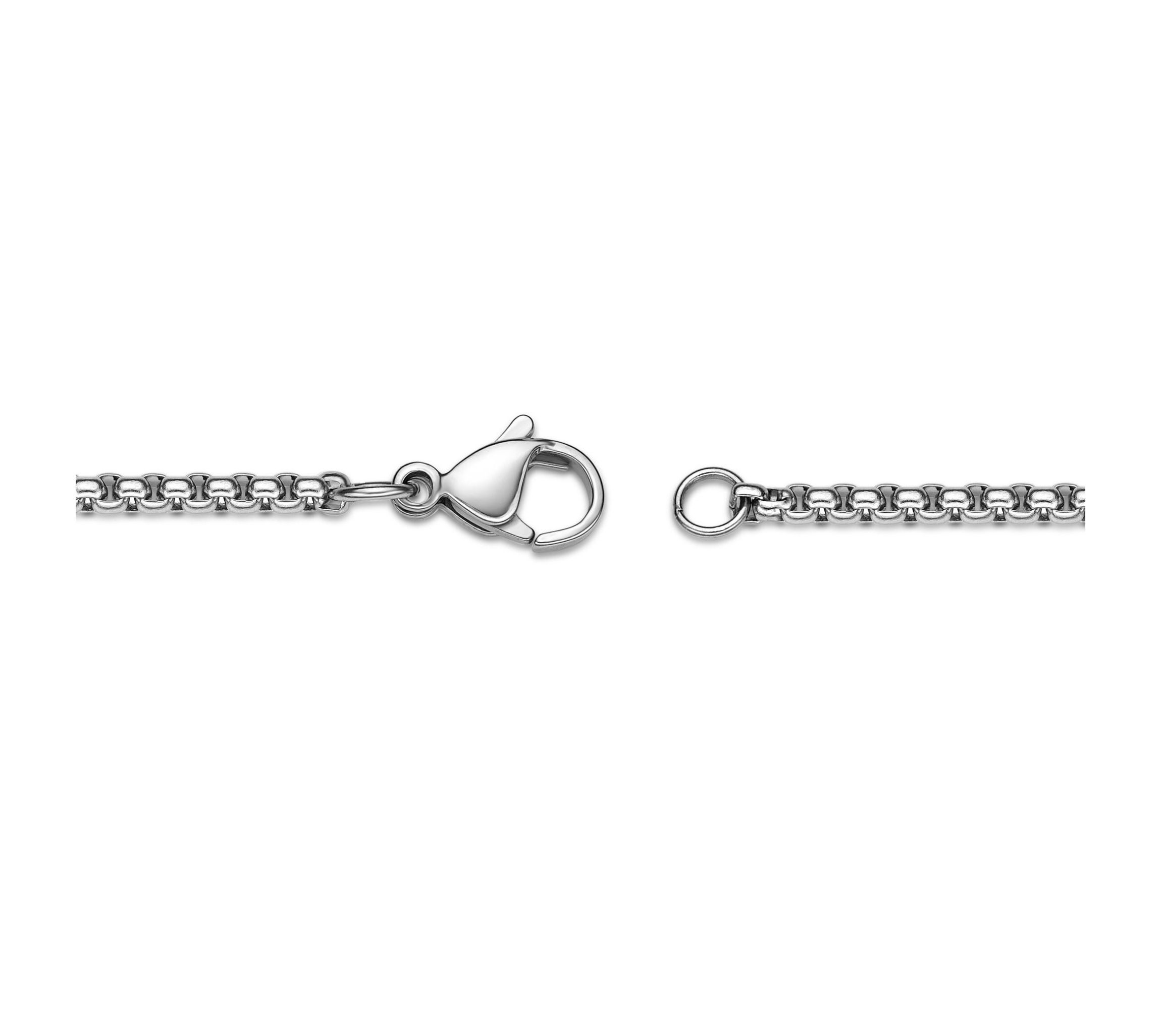 Stainless Steel Lion Pendant with Black Ion Plating