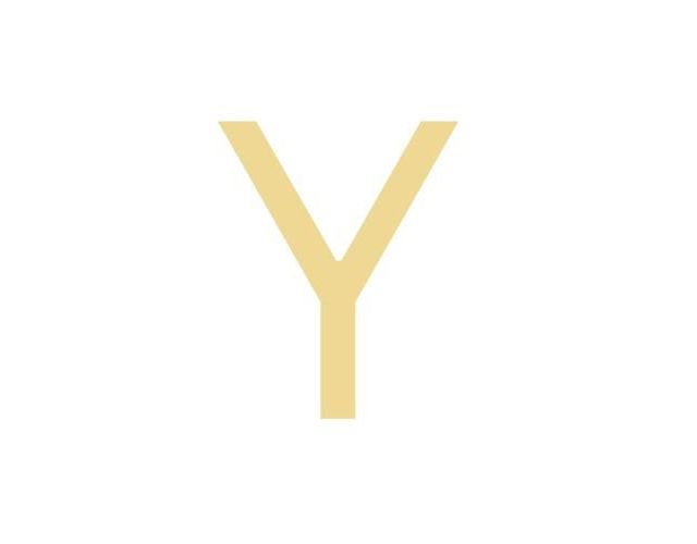 Y
