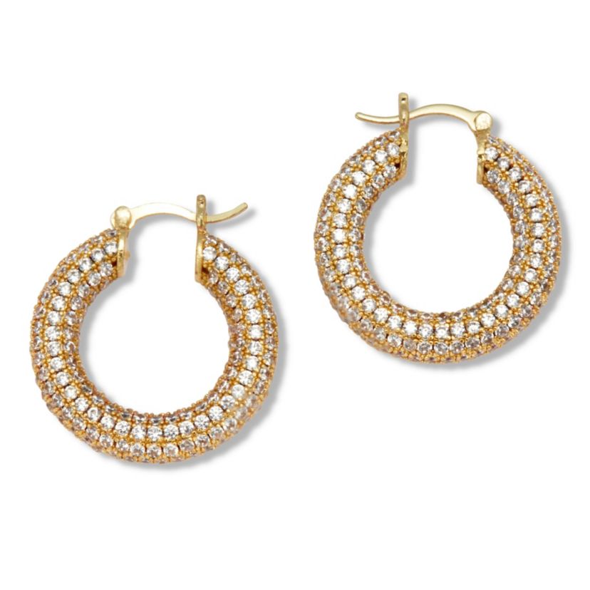 Round Crystal Goldtone Hoop Earrings