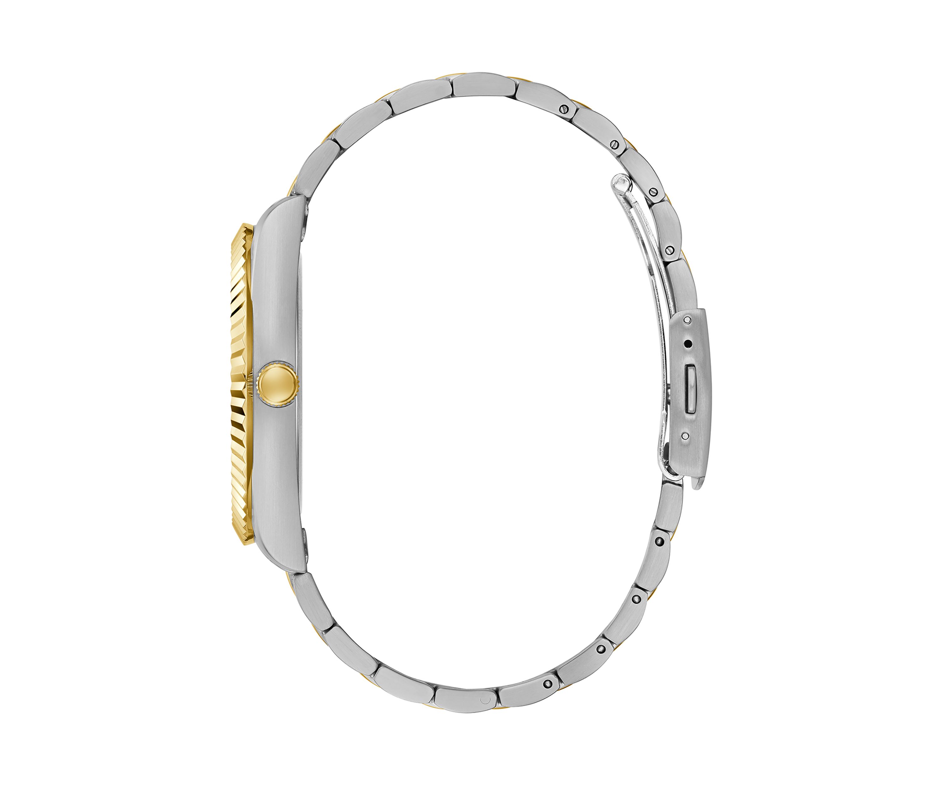 Two Tone Stainless Steel Watch