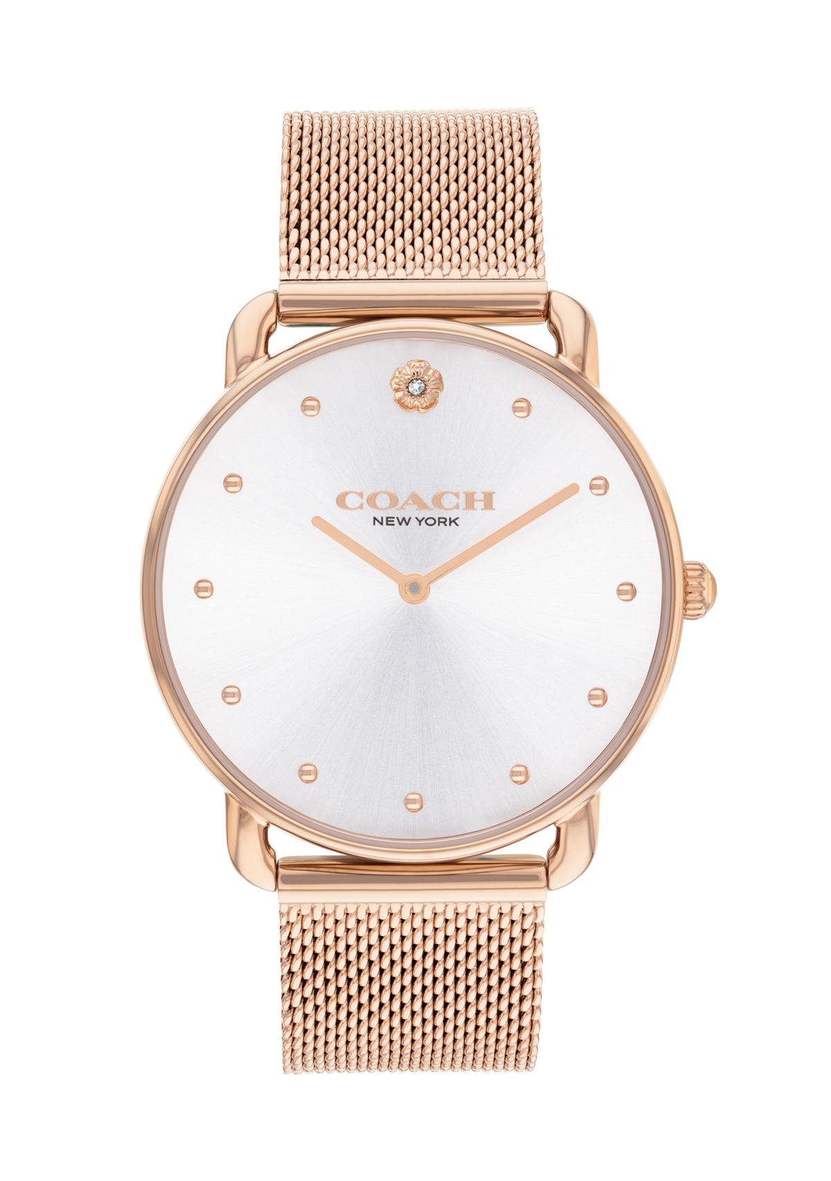 Elliot Stainless Steel Mesh Bracelet Watch