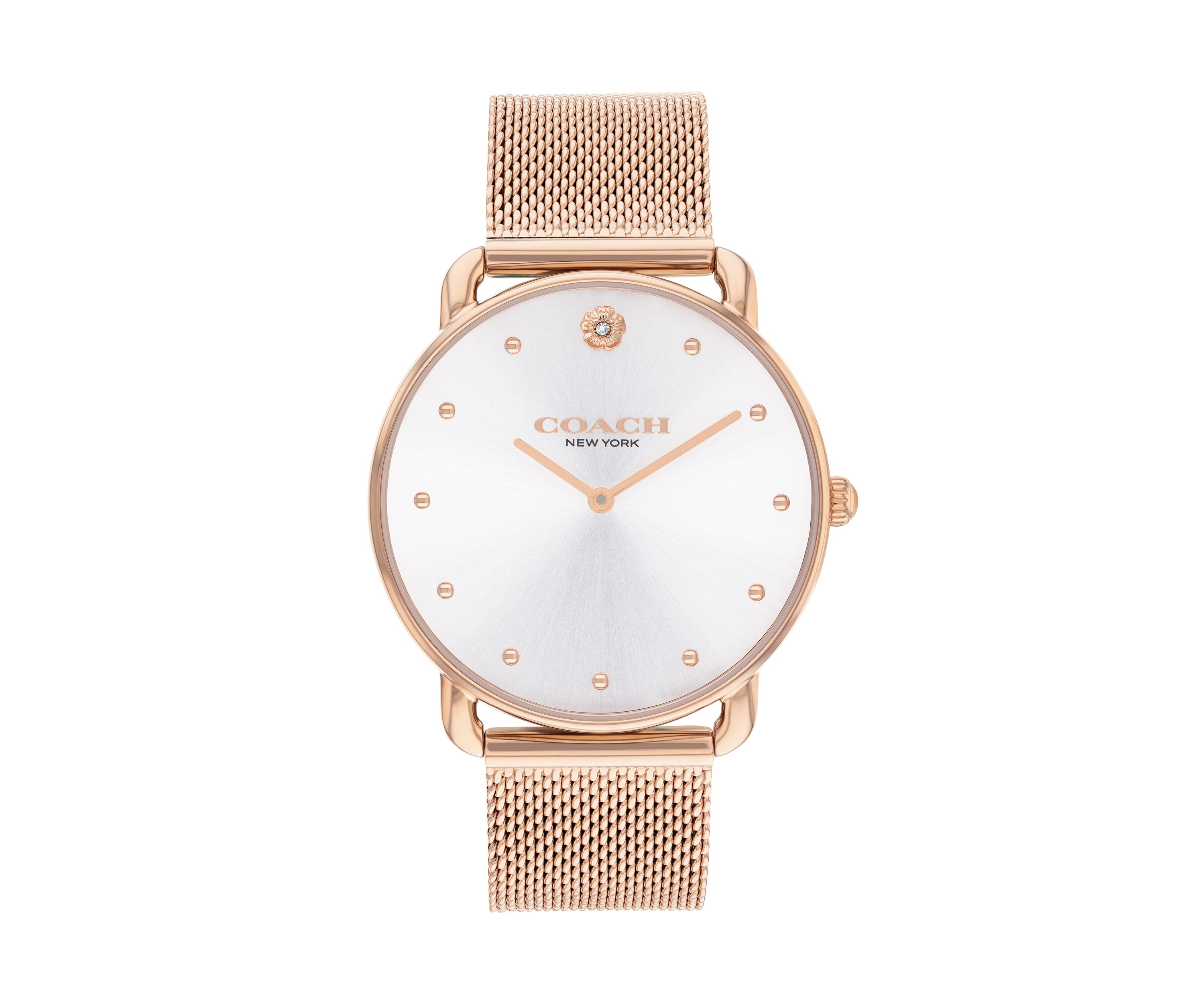 Elliot Stainless Steel Mesh Bracelet Watch