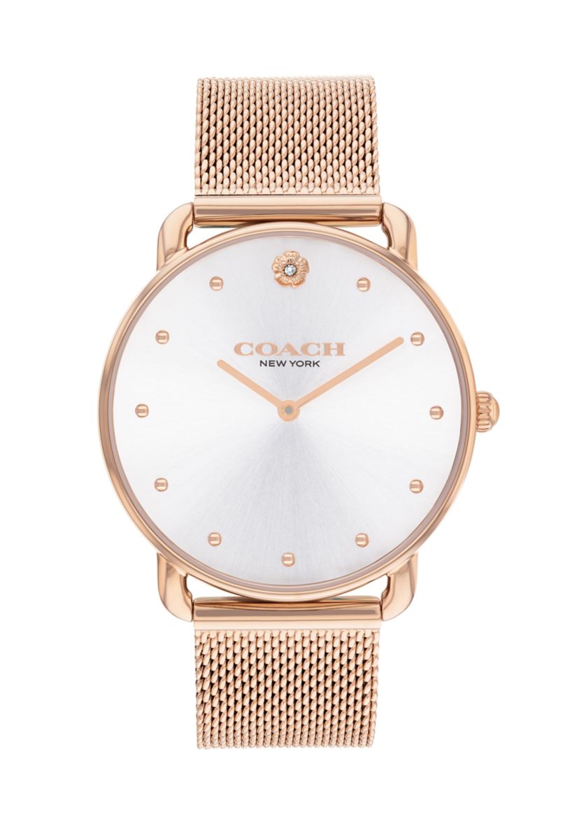 Elliot Stainless Steel Mesh Bracelet Watch