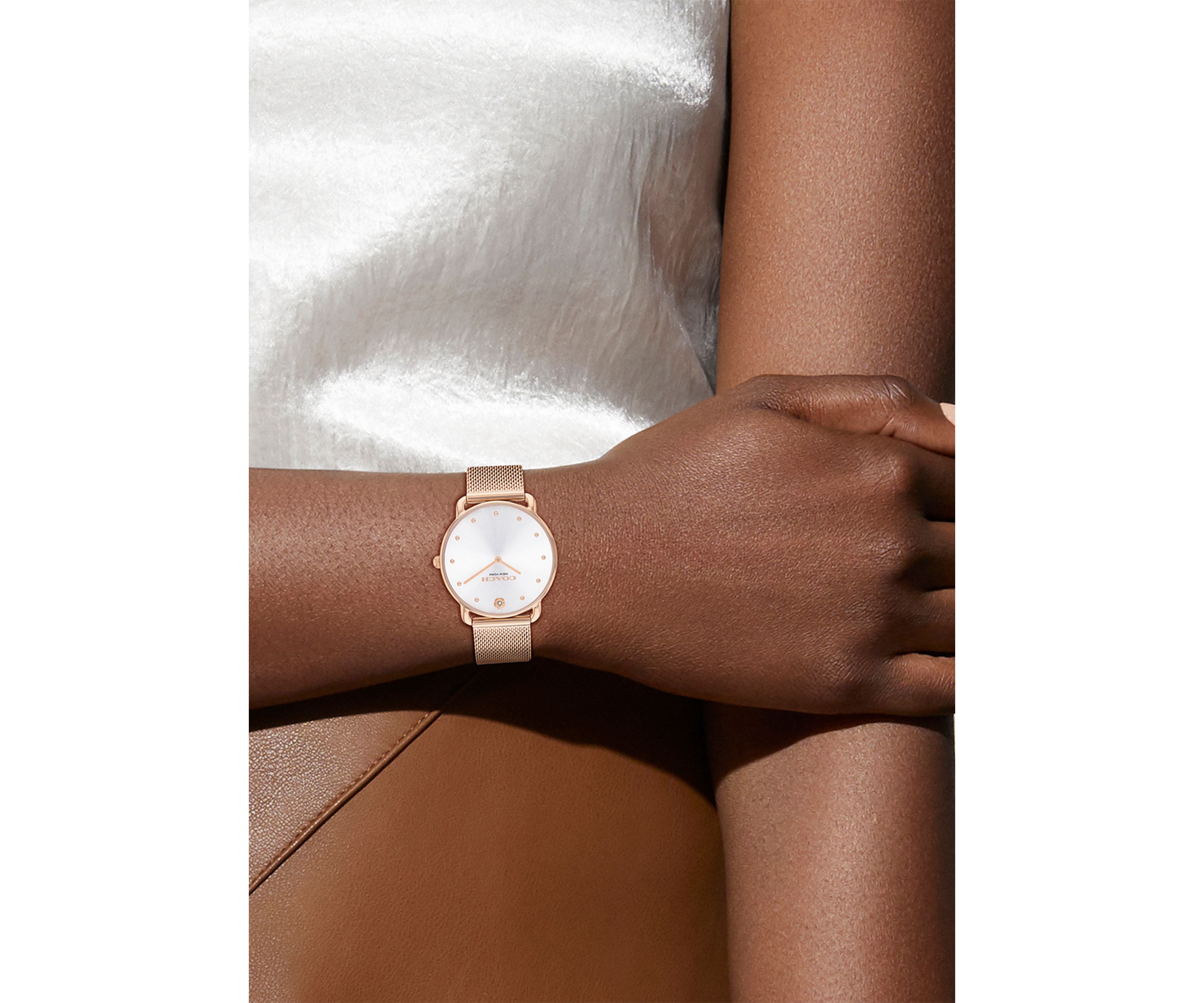 Elliot Stainless Steel Mesh Bracelet Watch