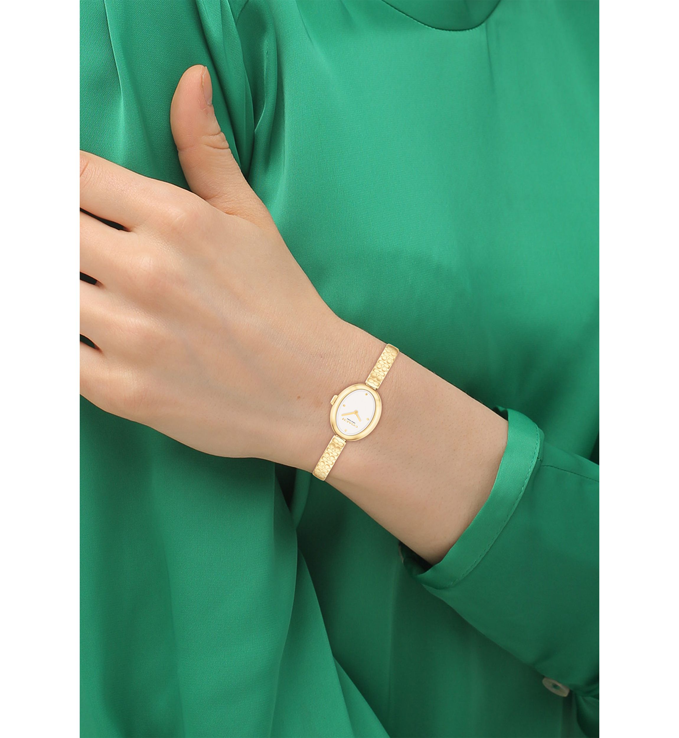 Sammy Stainless Steel Bangle Watch