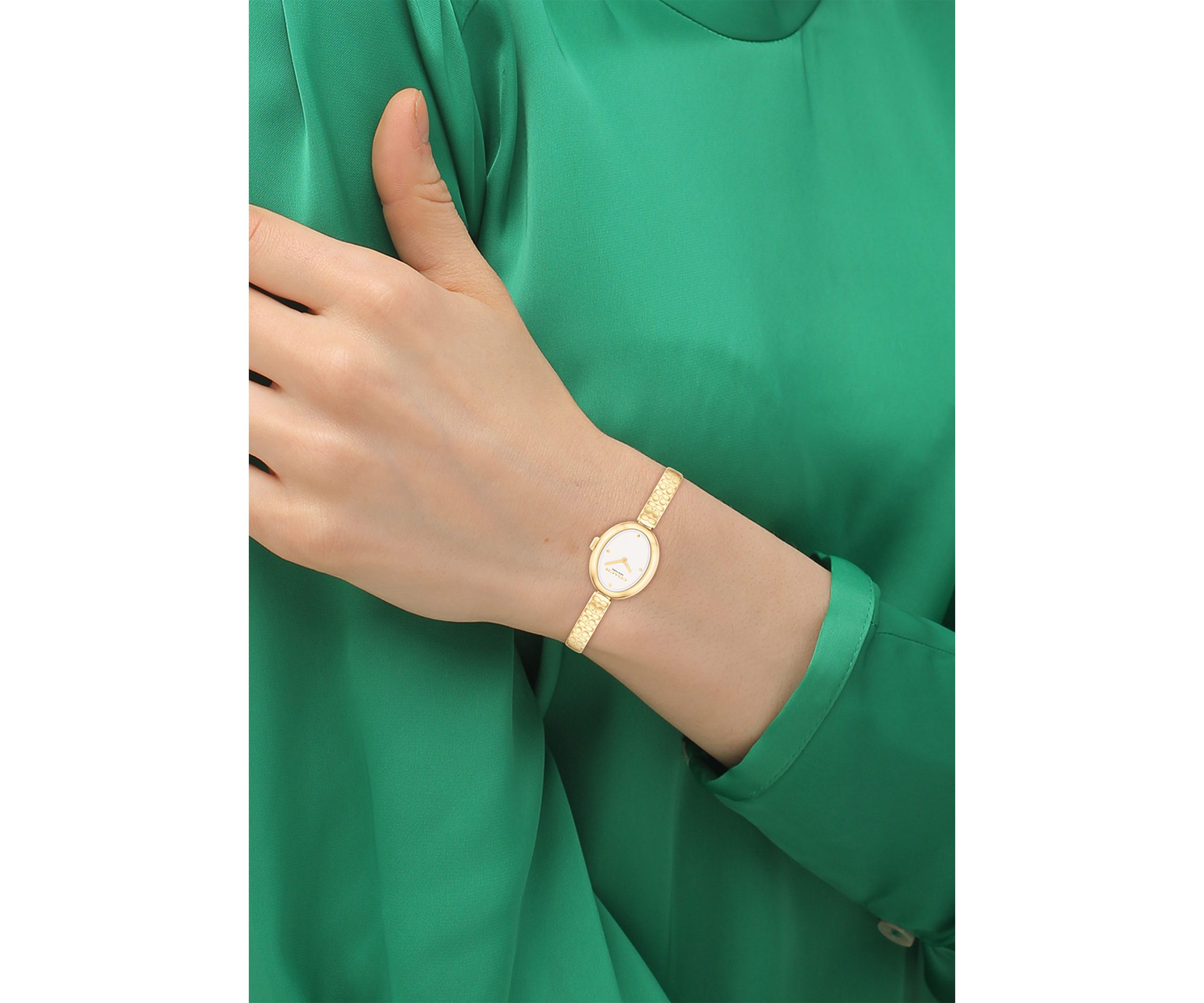 Sammy Stainless Steel Bangle Watch