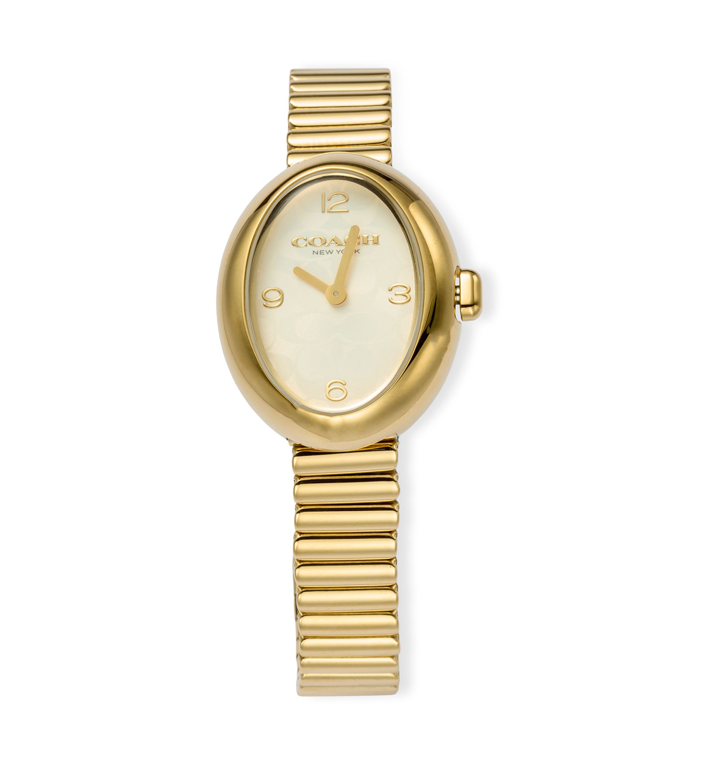 Sammy Stainless Steel Mesh Bracelet Watch