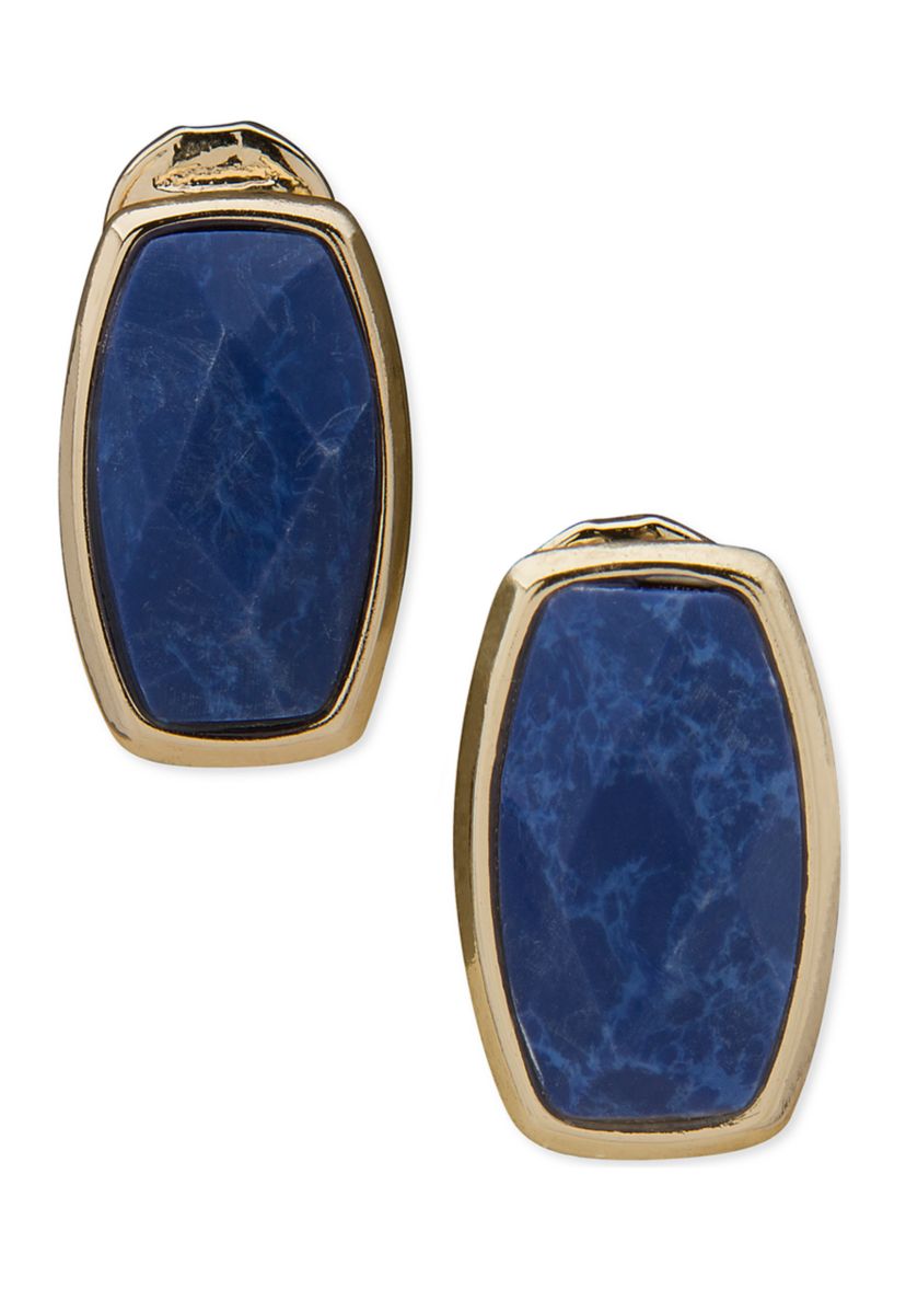 Gold Tone Sodalite Cushion Stone Button Clip Earrings