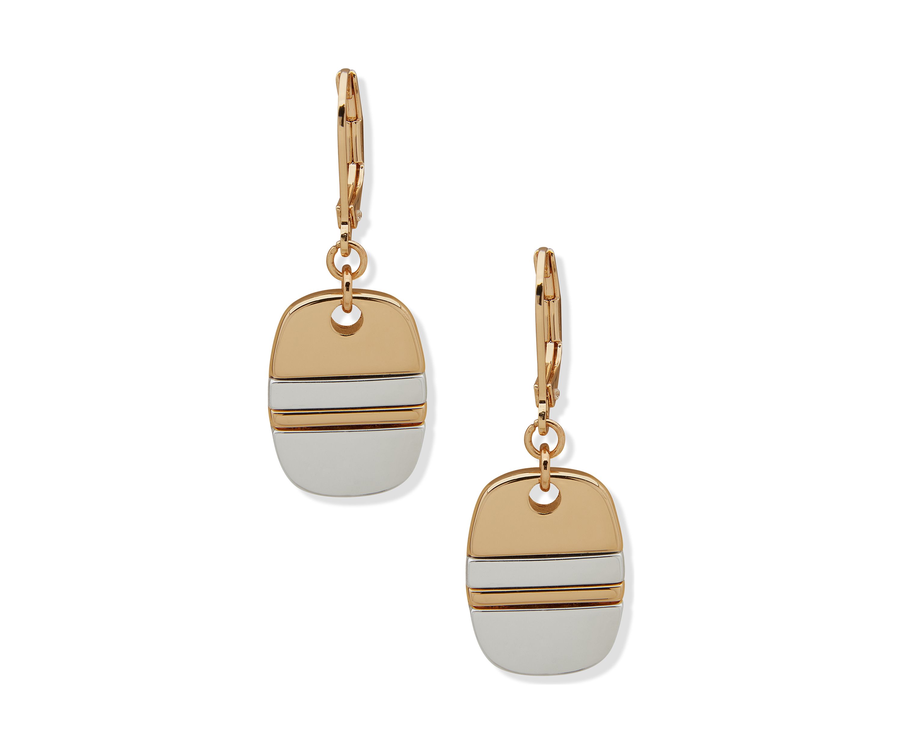 Dog Tag Drop Earrings