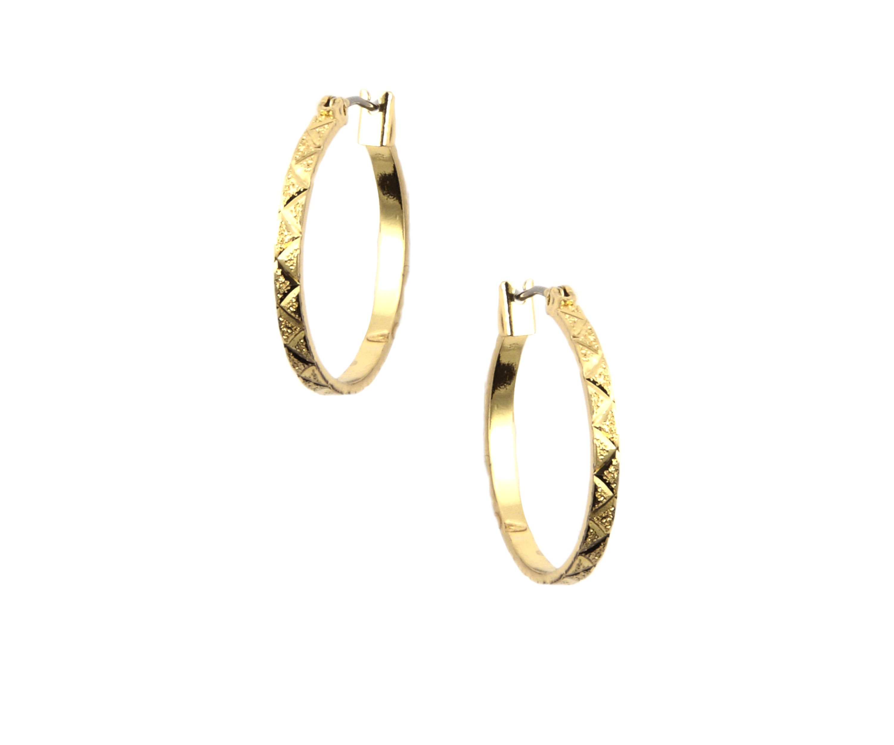 Small Gold Hoop Earrings
