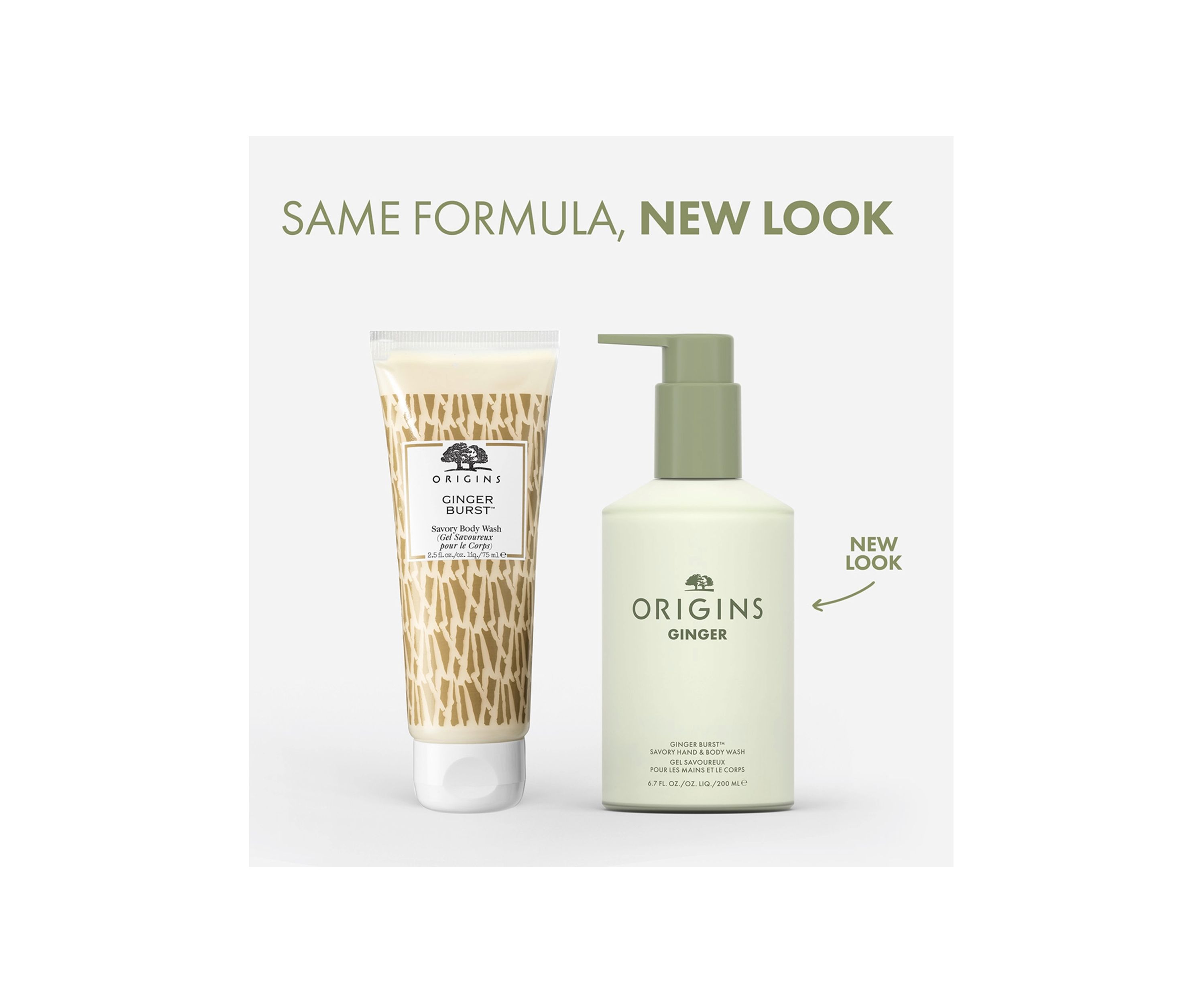 GINGER BURST™ Savory Body Wash
