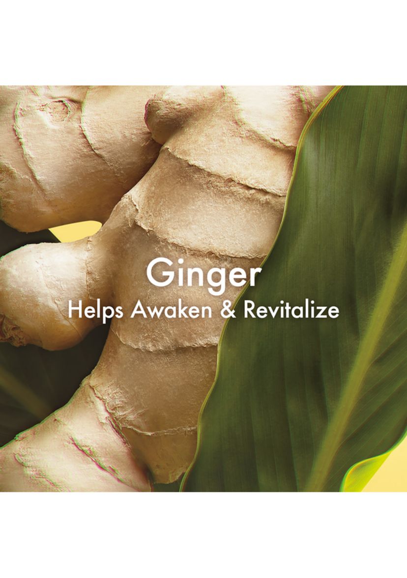 Ginger Souffle™ Whipped Body Cream 