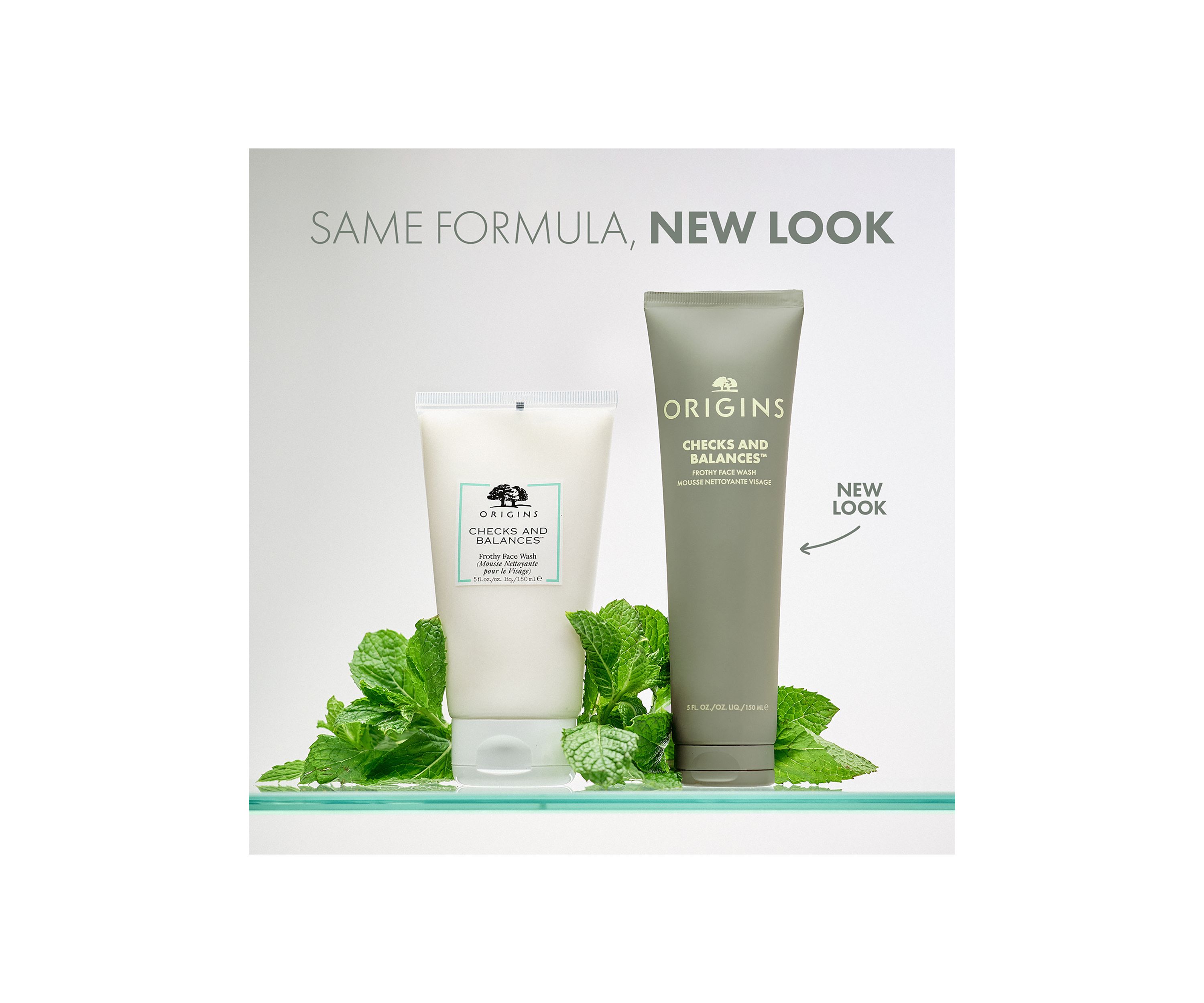Checks and Balances™ Frothy Face Wash 