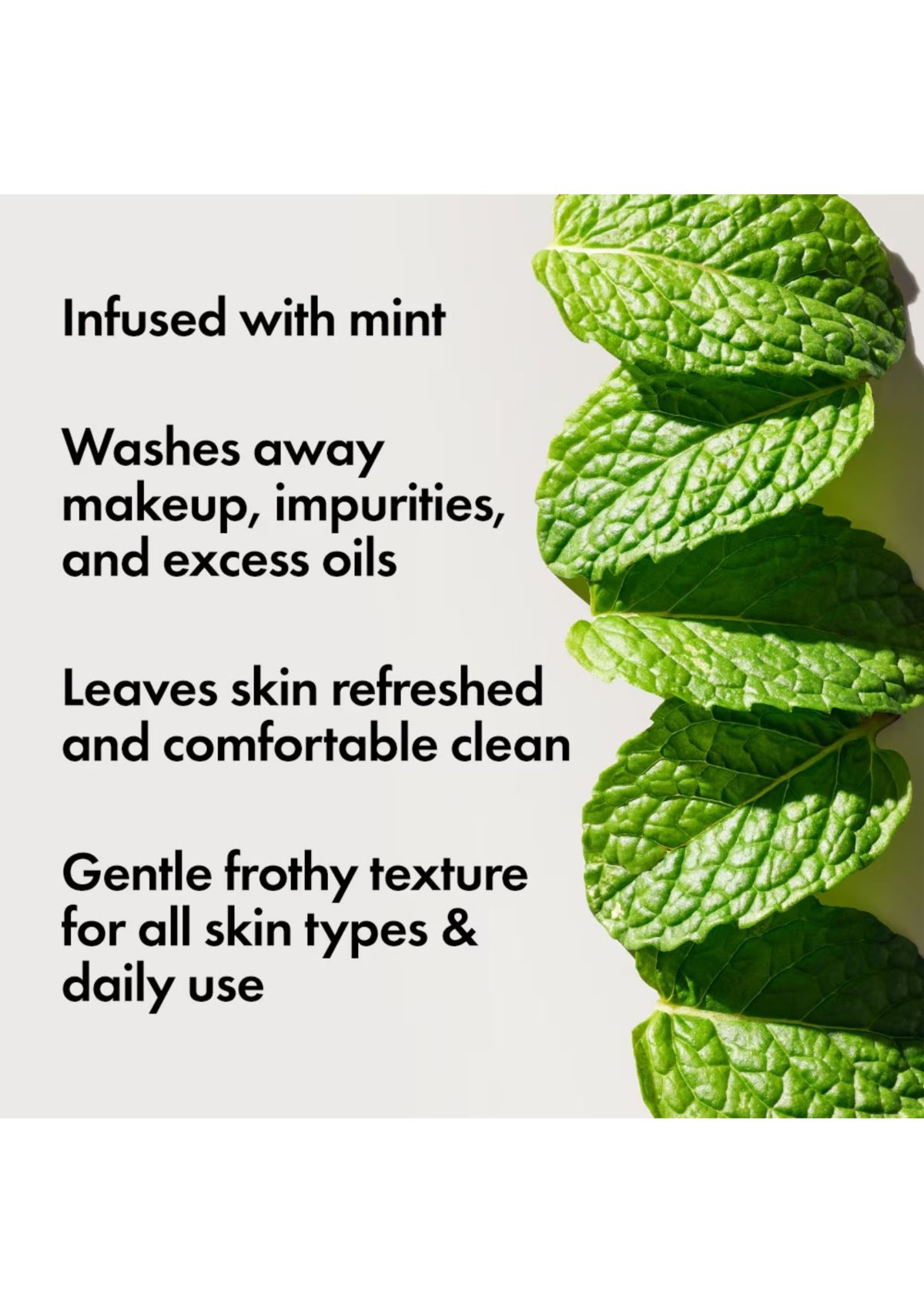 Checks and Balances™ Frothy Face Wash 