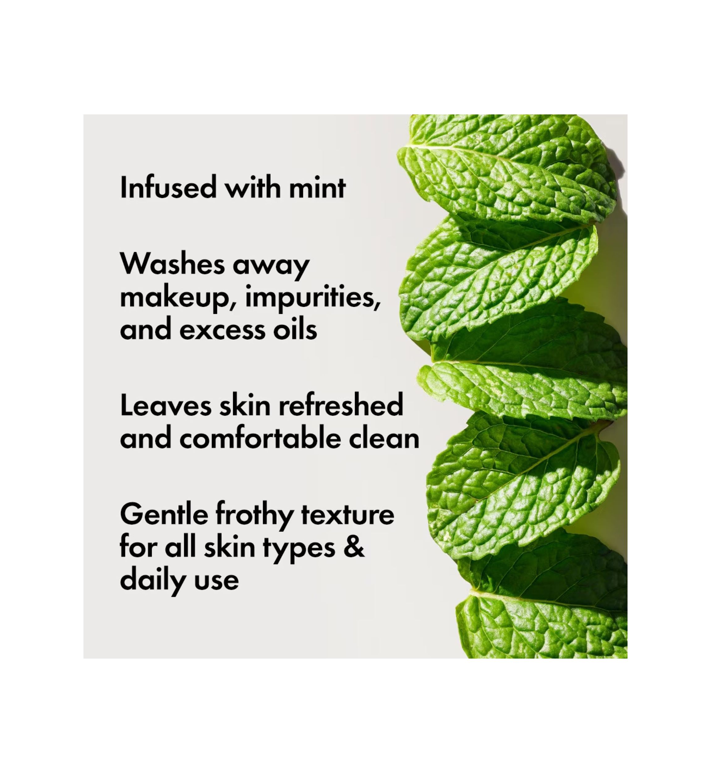 Checks and Balances™ Frothy Face Wash 