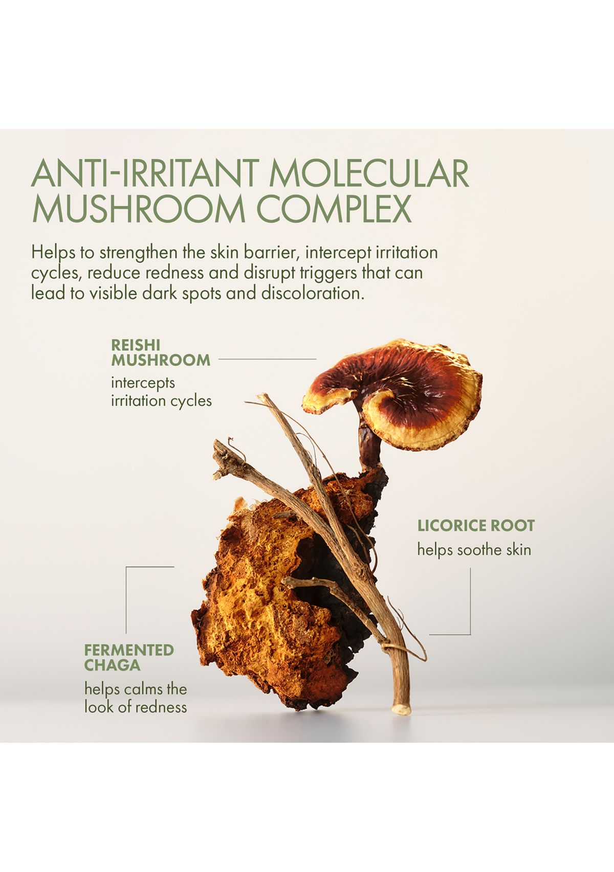 Mega-Mushroom Barrier Rescue Concentrated Face Serum