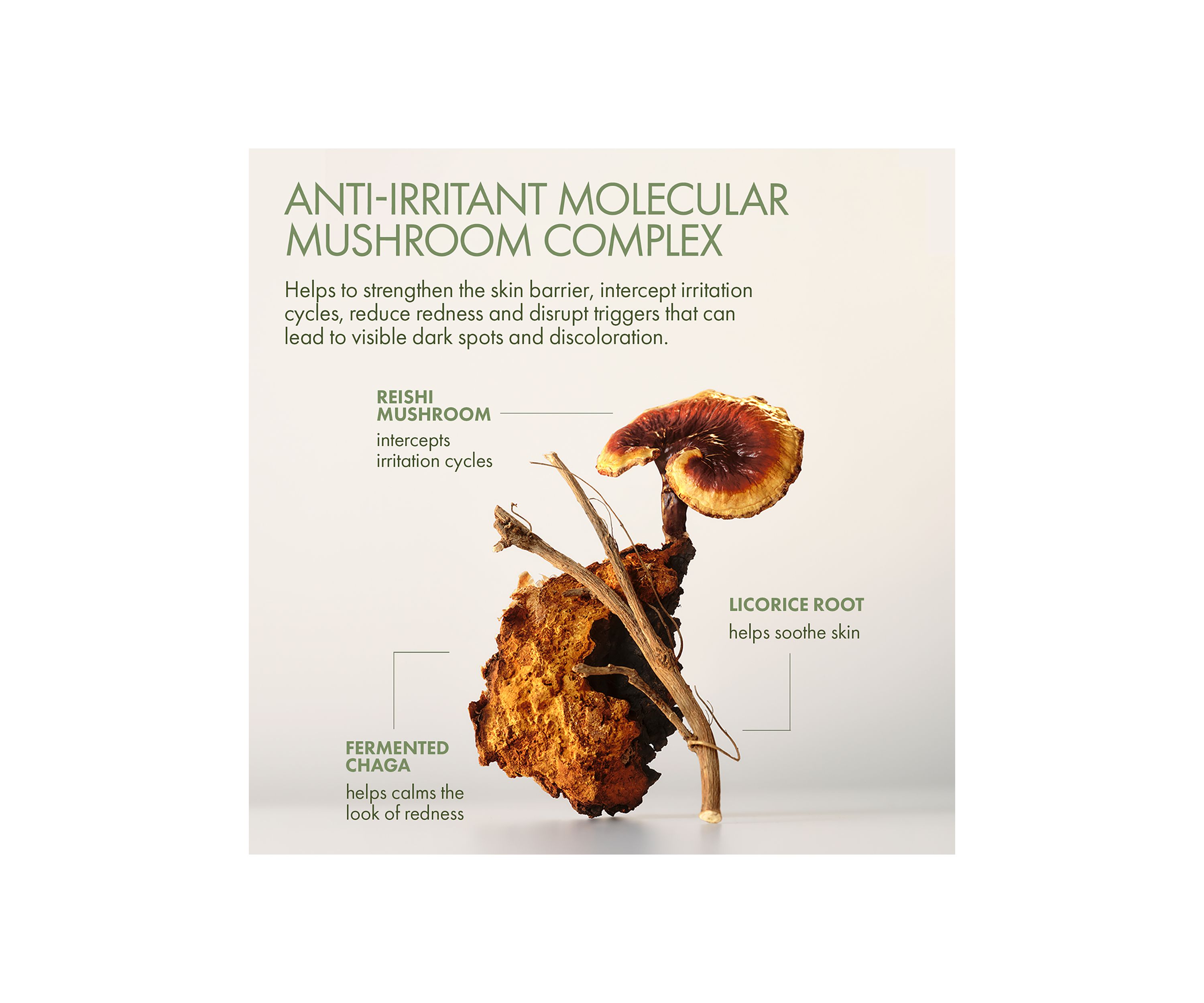 Mega-Mushroom Barrier Rescue Concentrated Face Serum
