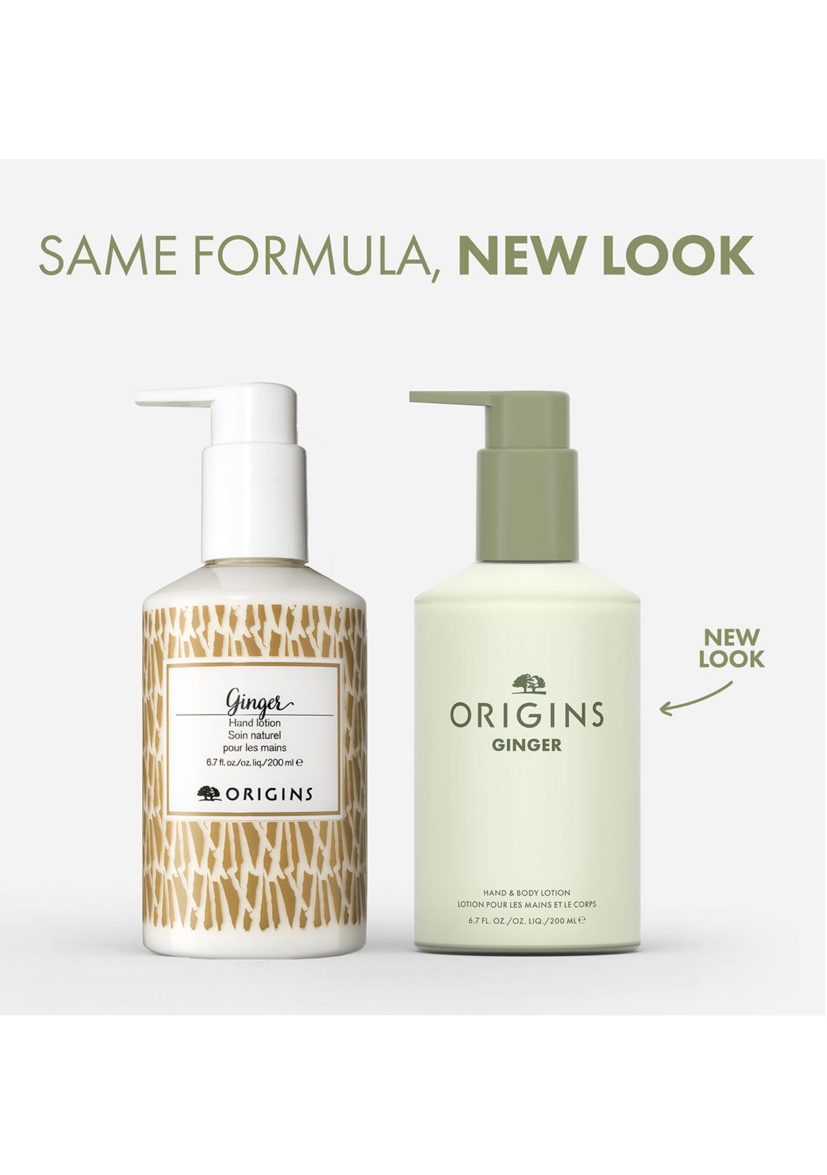 Ginger Hand & Body Lotion