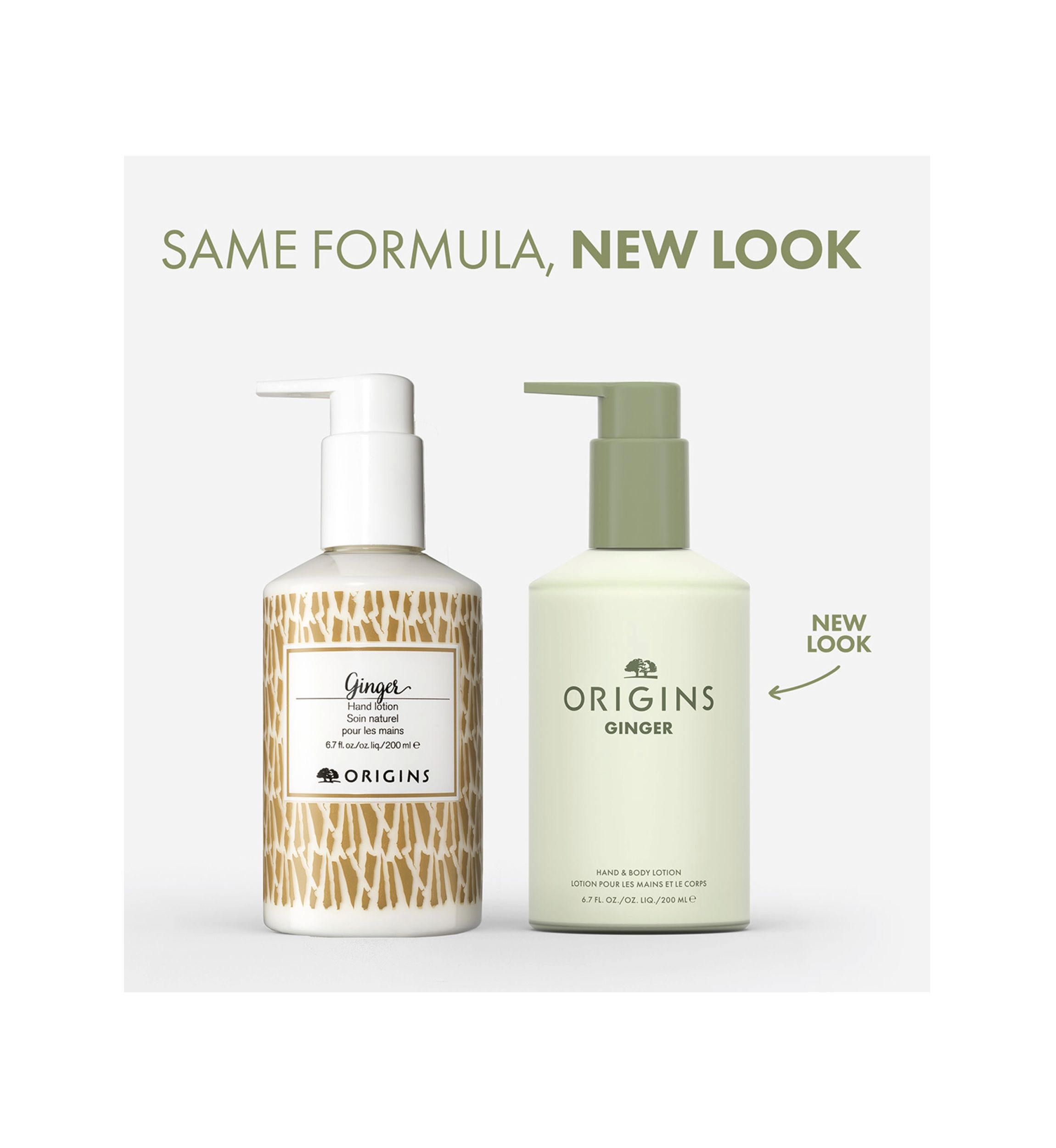 Ginger Hand & Body Lotion