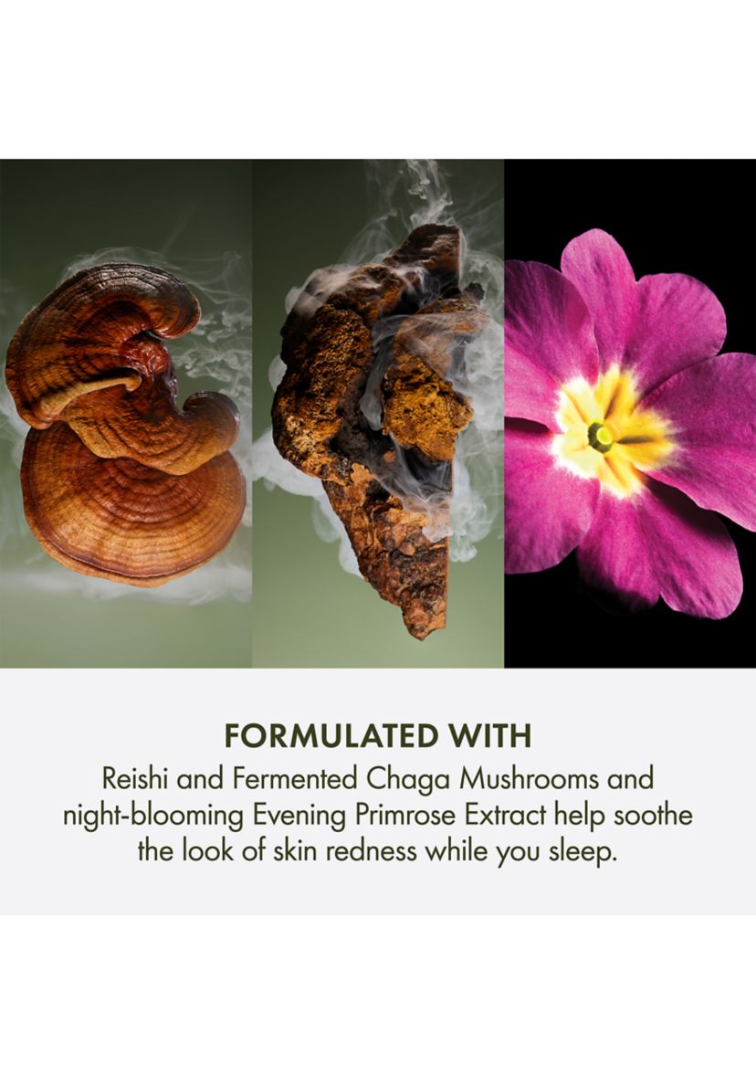 Dr. Andrew Weil for Origins™  Mega Mushroom Overnight Recovery Cream 