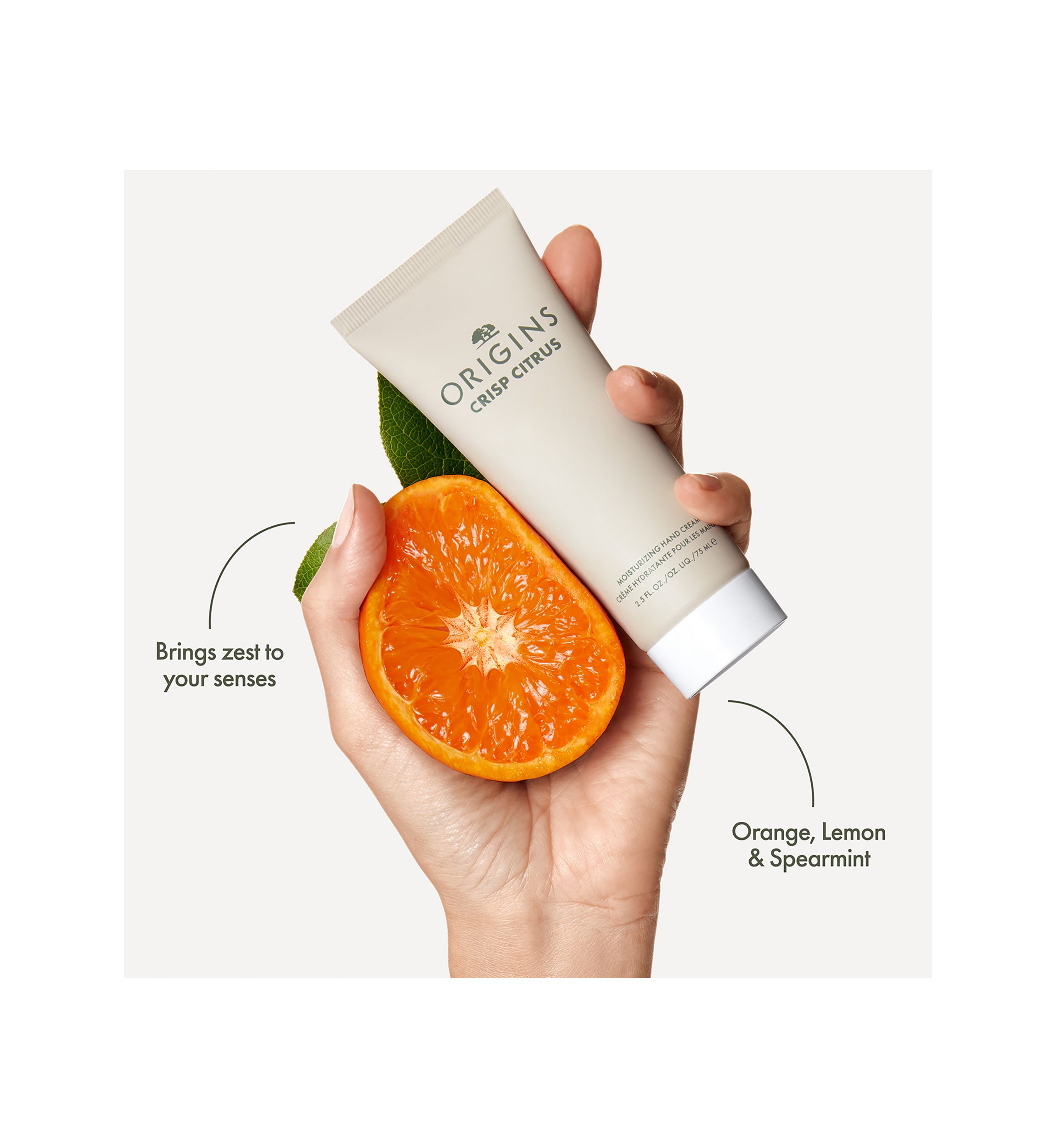 CRISP CITRUS™ Moisturizing Hand Cream