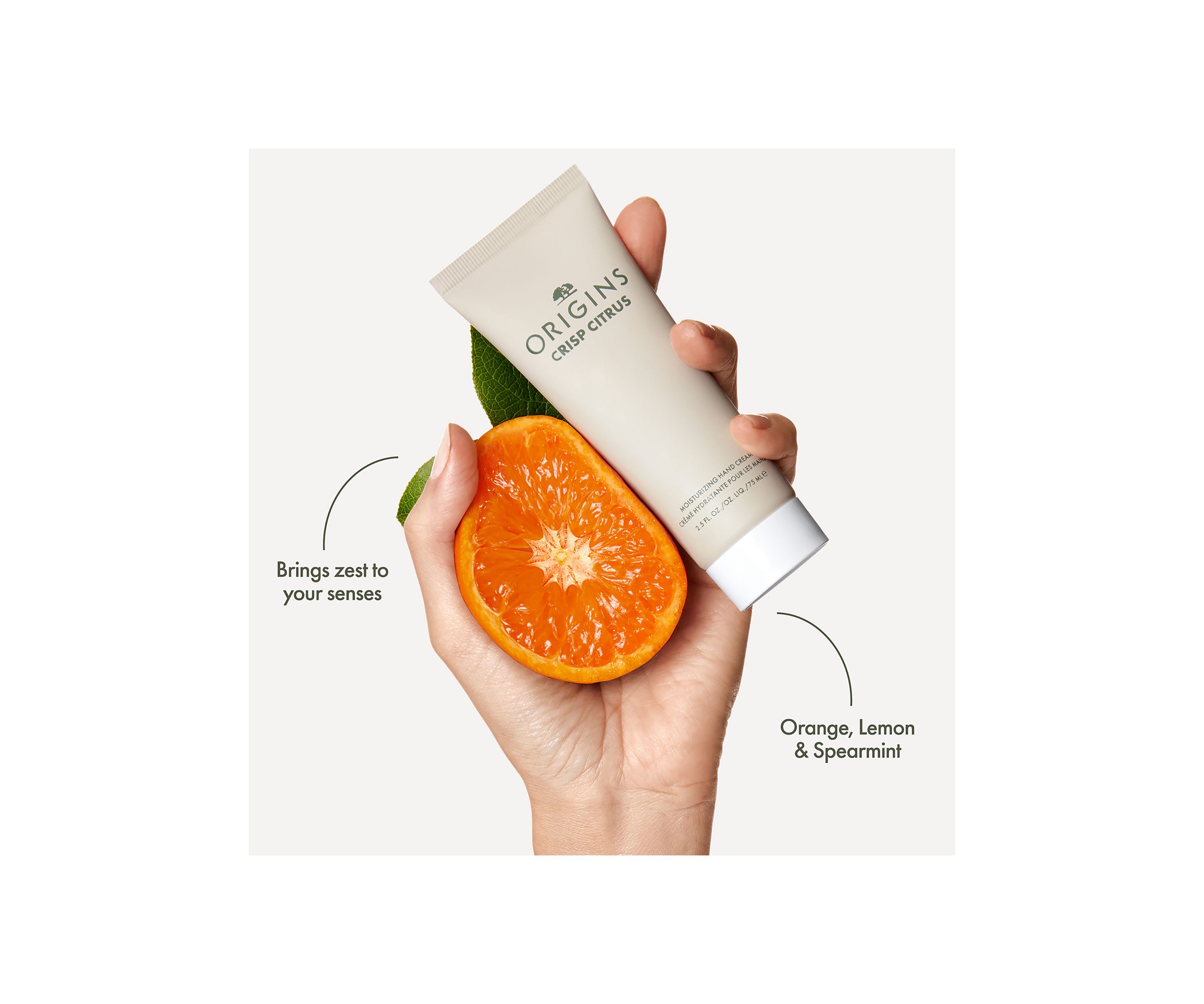 CRISP CITRUS™ Moisturizing Hand Cream