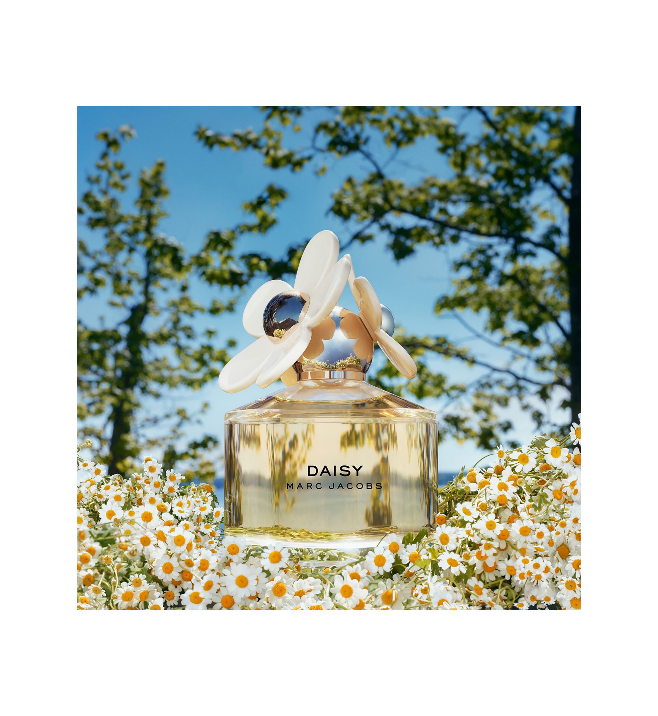 Daisy Eau de Toilette