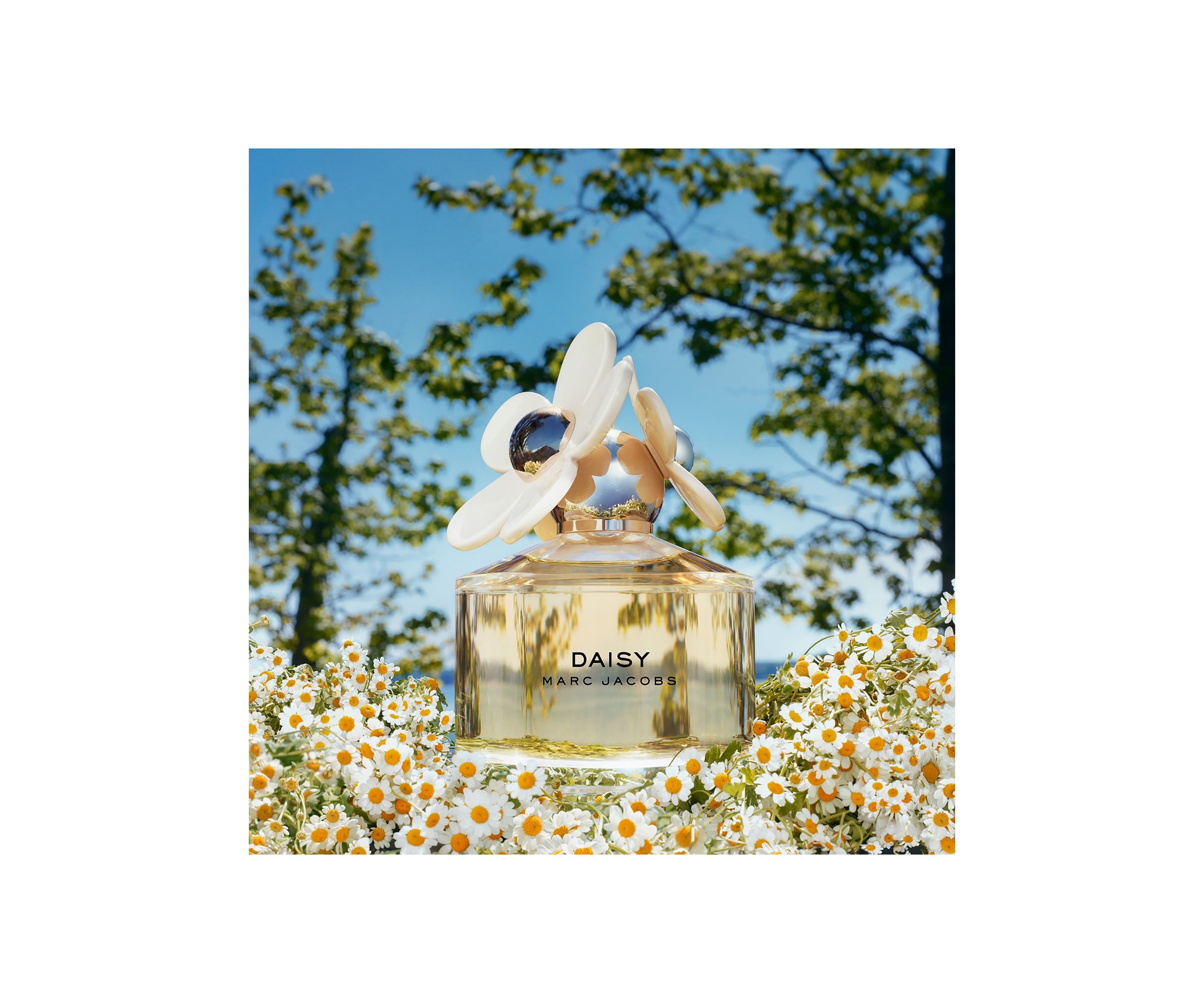Daisy Eau de Toilette