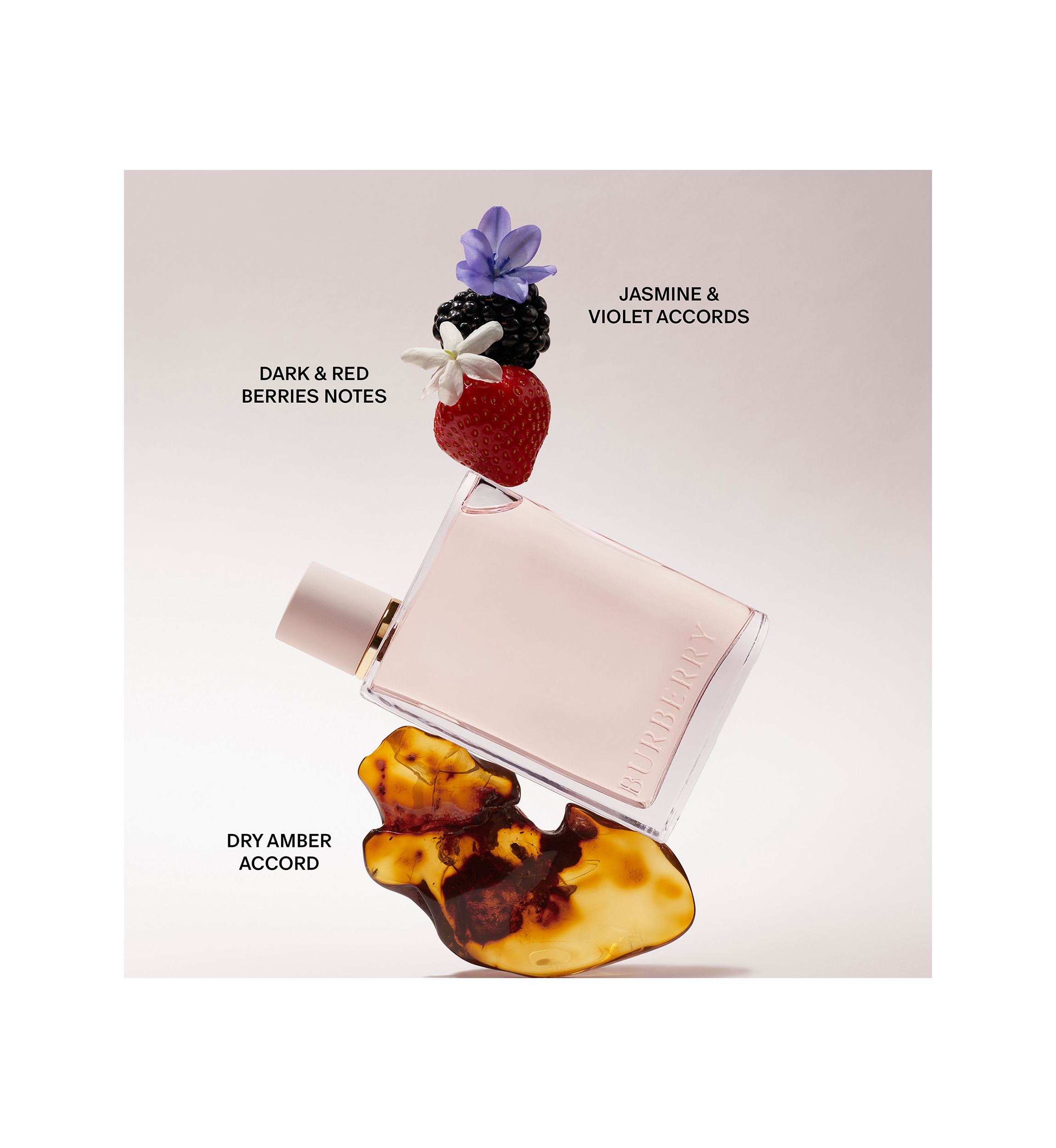 Burberry Her Eau de Parfum | Belk
