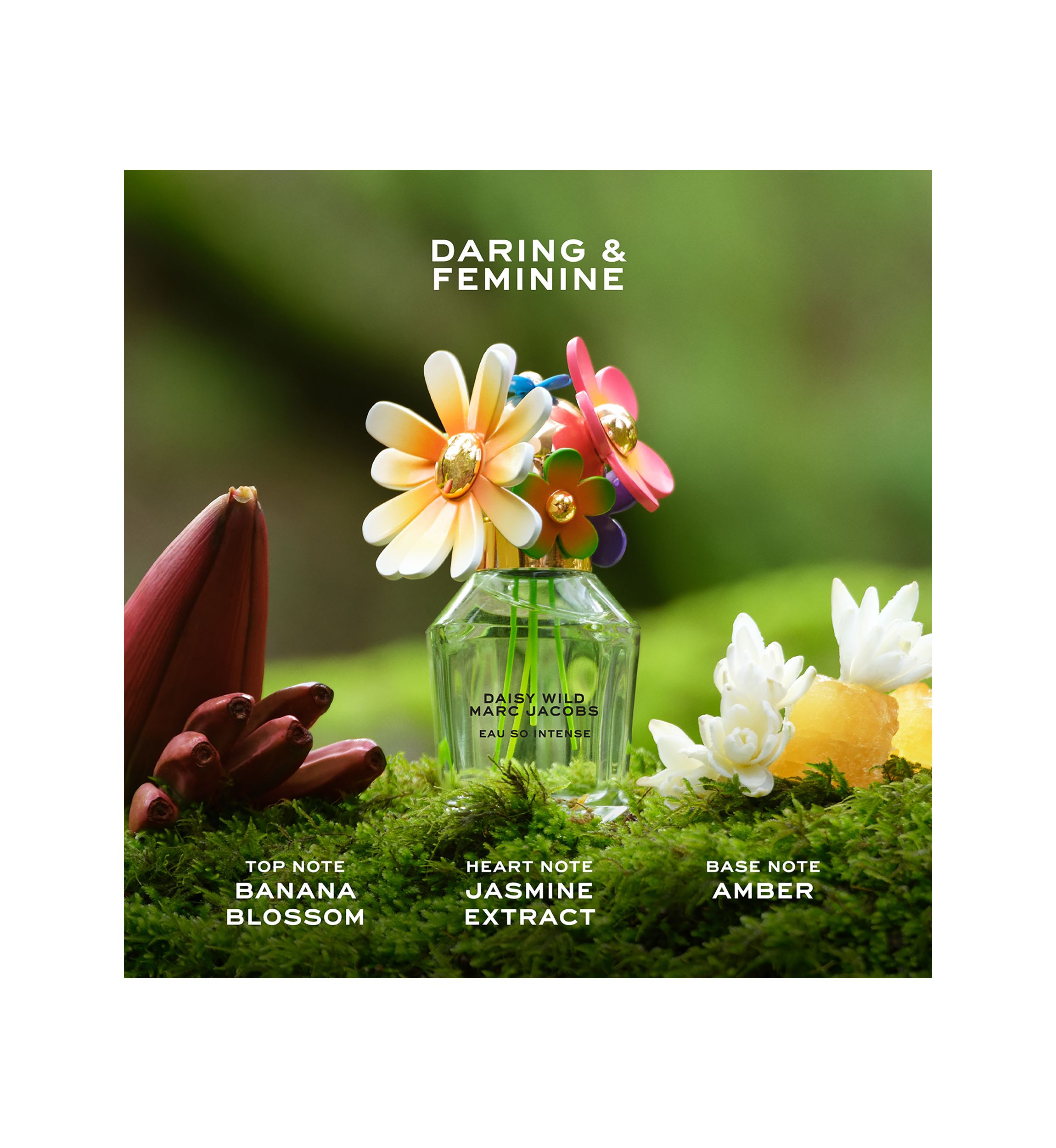 Daisy Wild Eau So Intense Eau de Parfum