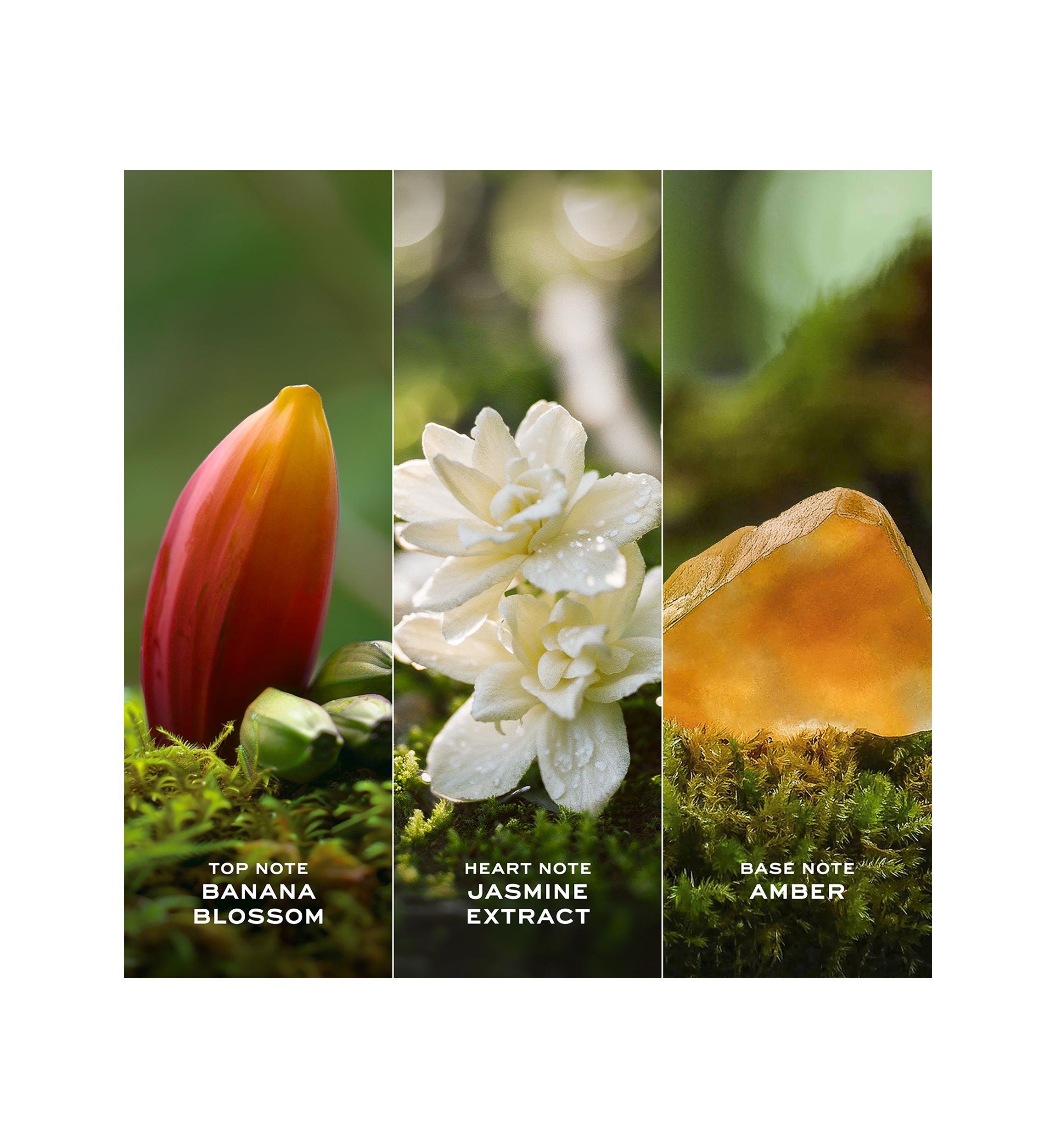Daisy Wild Eau So Intense Eau de Parfum