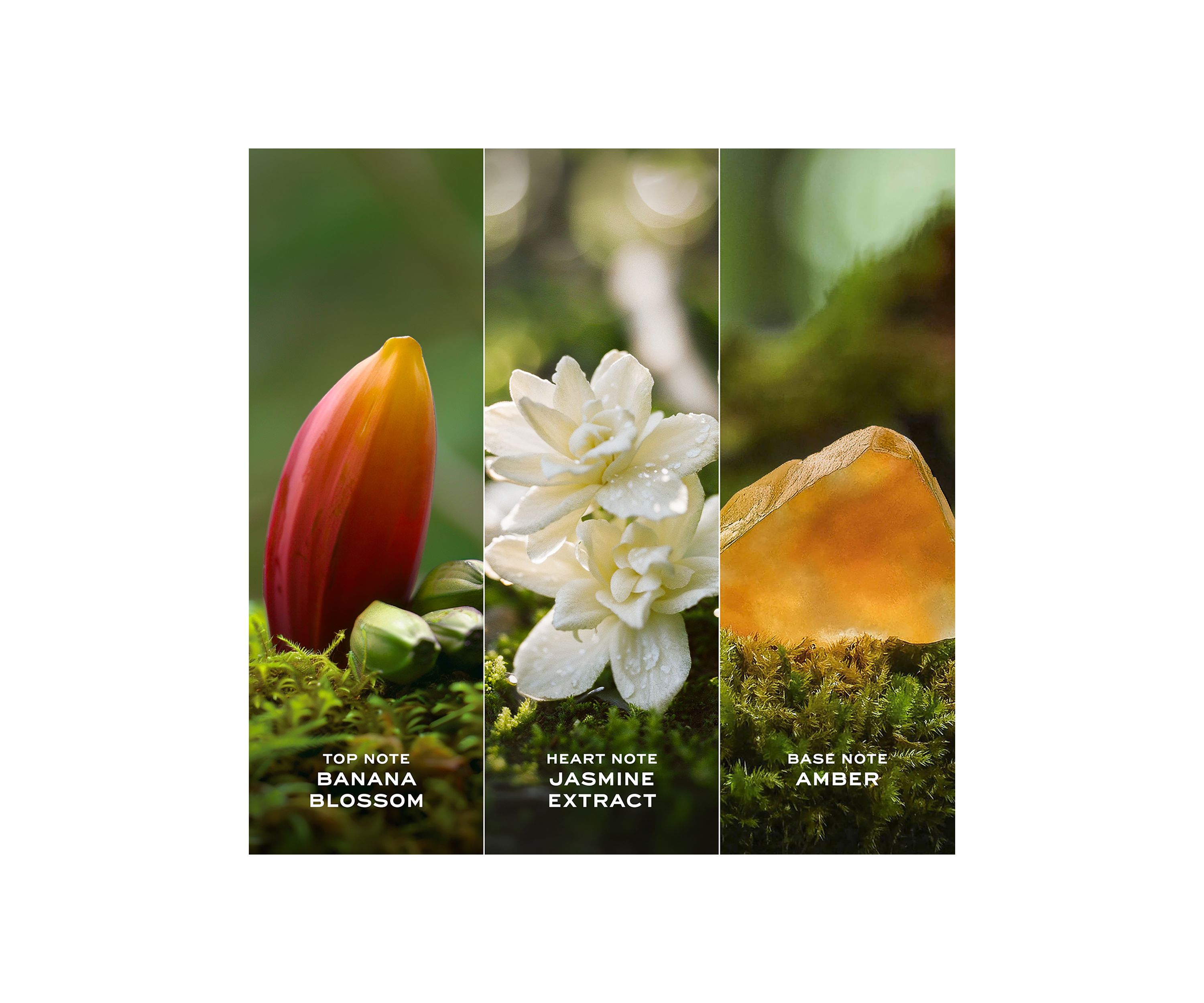 Daisy Wild Eau So Intense Eau de Parfum
