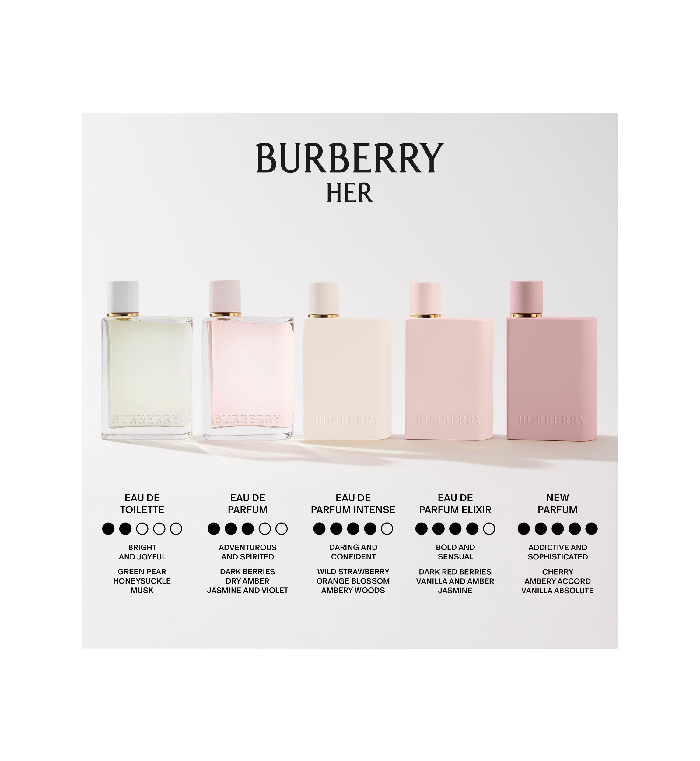 Burberry Her Eau de Parfum Intense | Belk