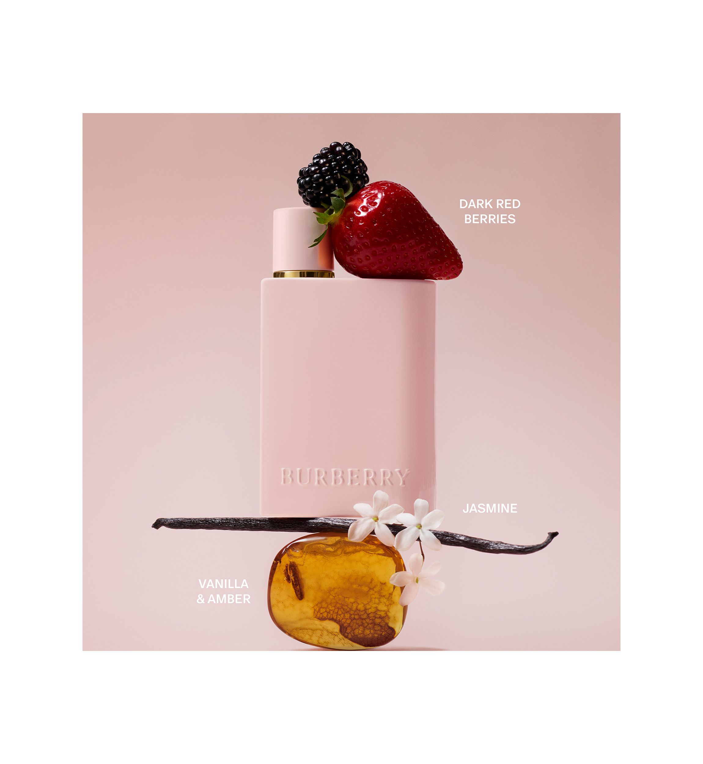 Burberry Her Elixir de Parfum for Women | Belk