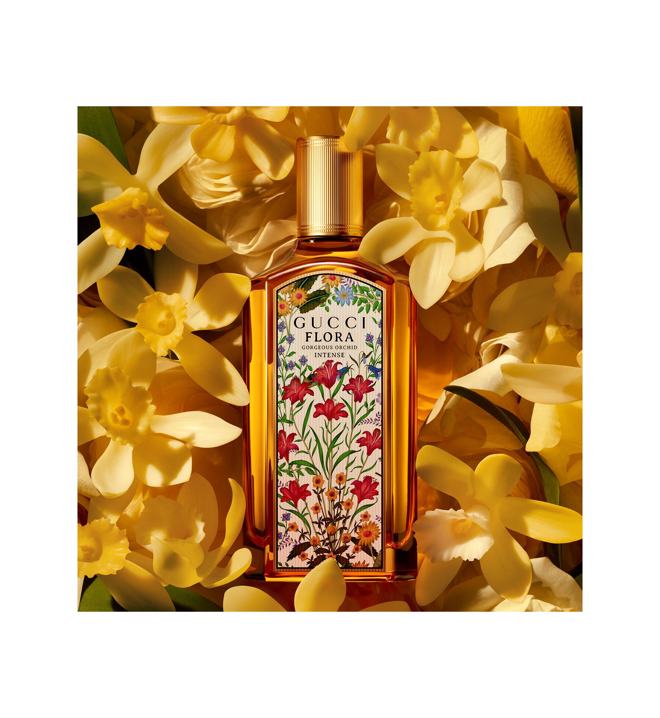 Gucci Flora Gorgeous Orchid Intense Eau de Parfum | Belk
