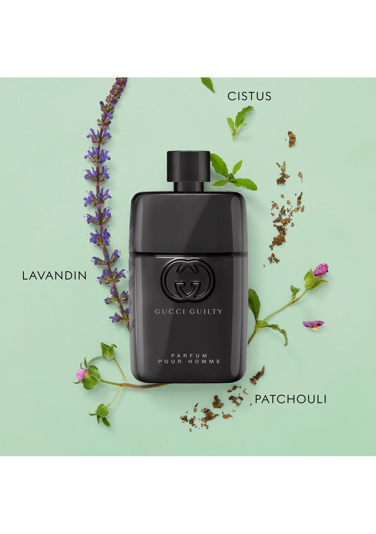 Guilty Pour Homme Parfum for Men 