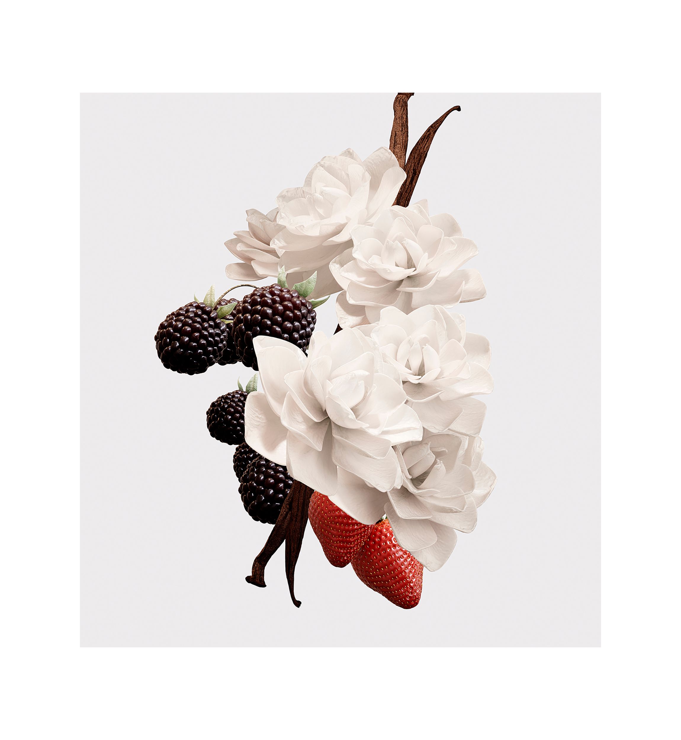 Her Elixir de Parfum for Women 