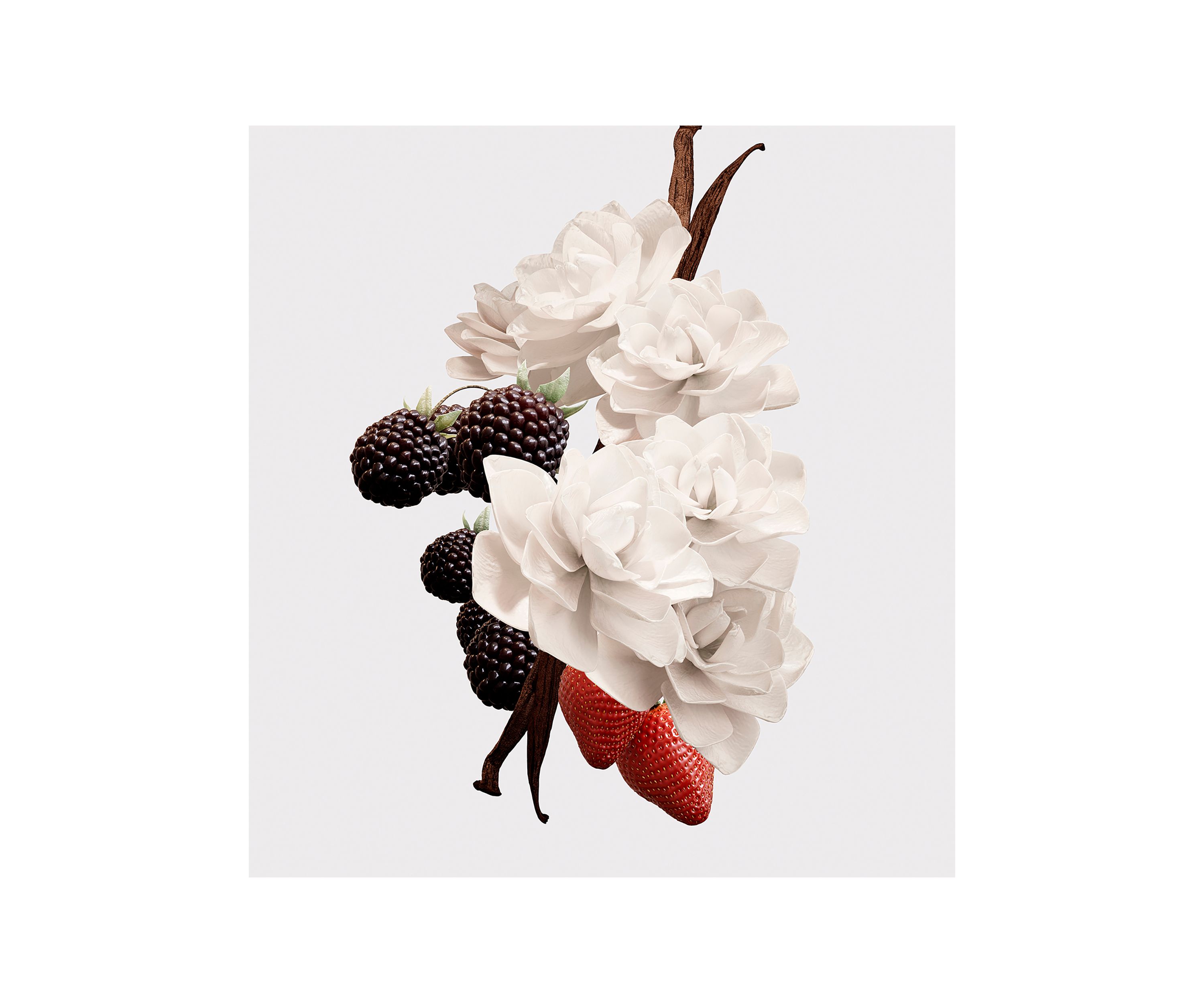 Her Elixir de Parfum for Women 