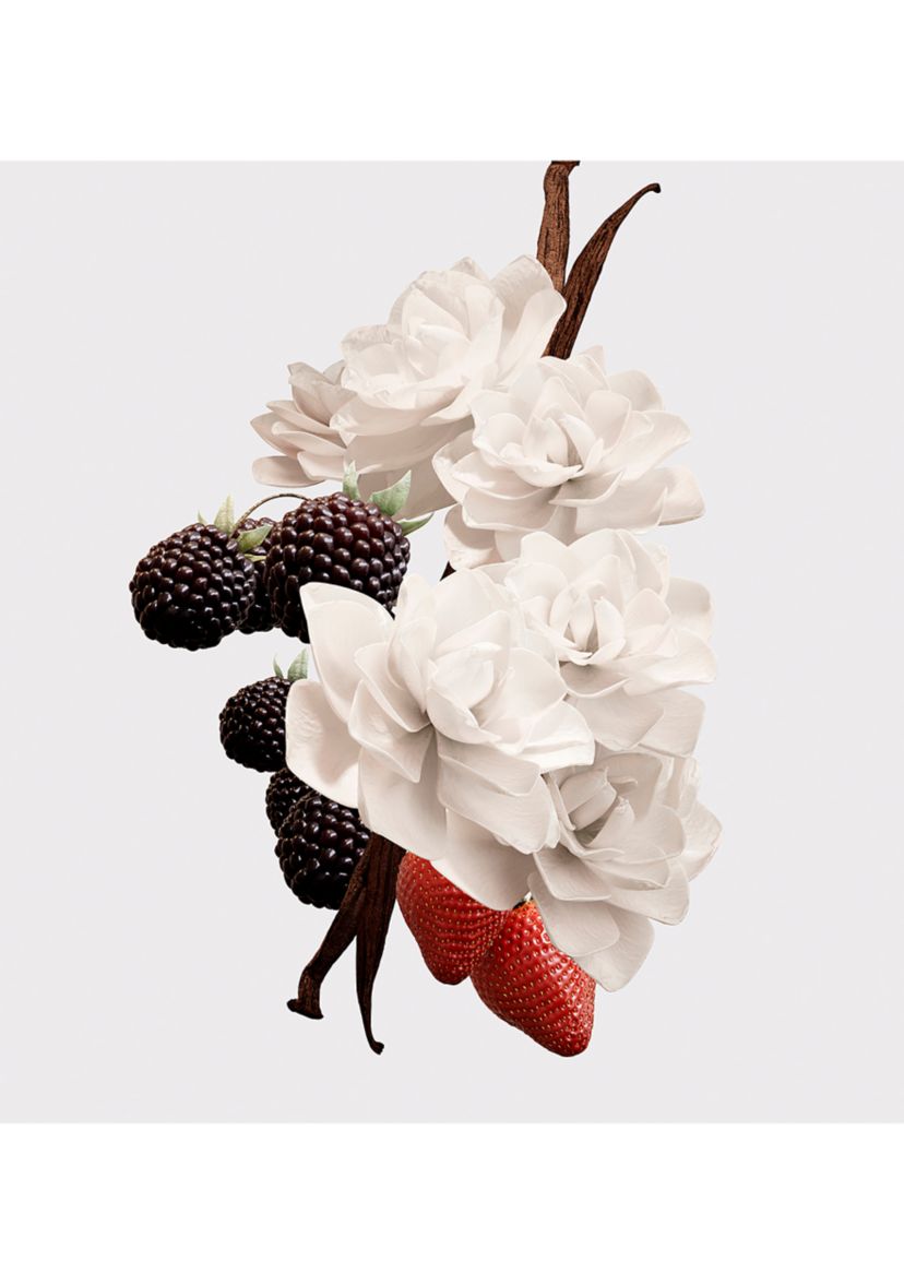 Her Elixir de Parfum for Women 