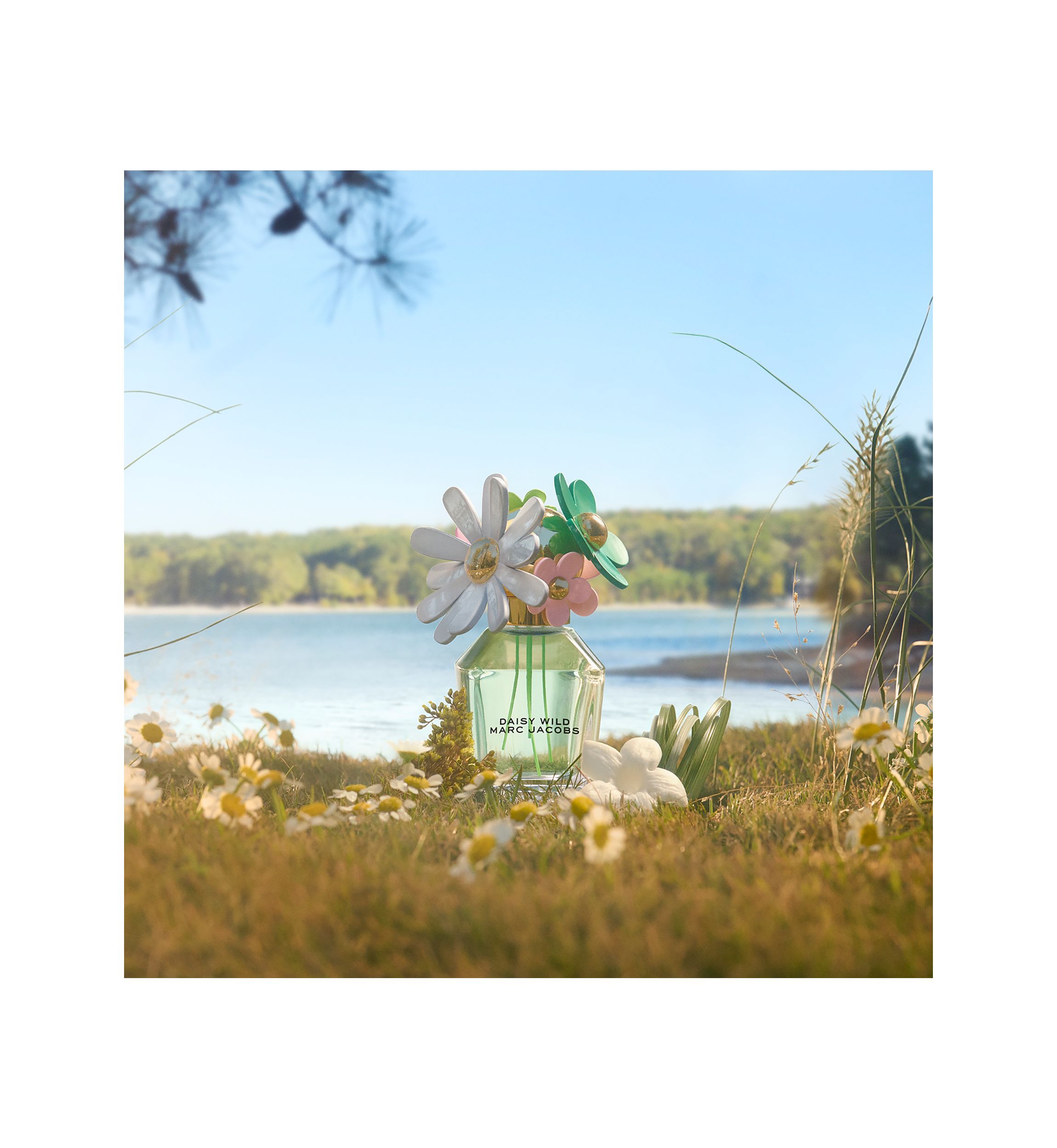 Daisy Wild Eau de Parfum