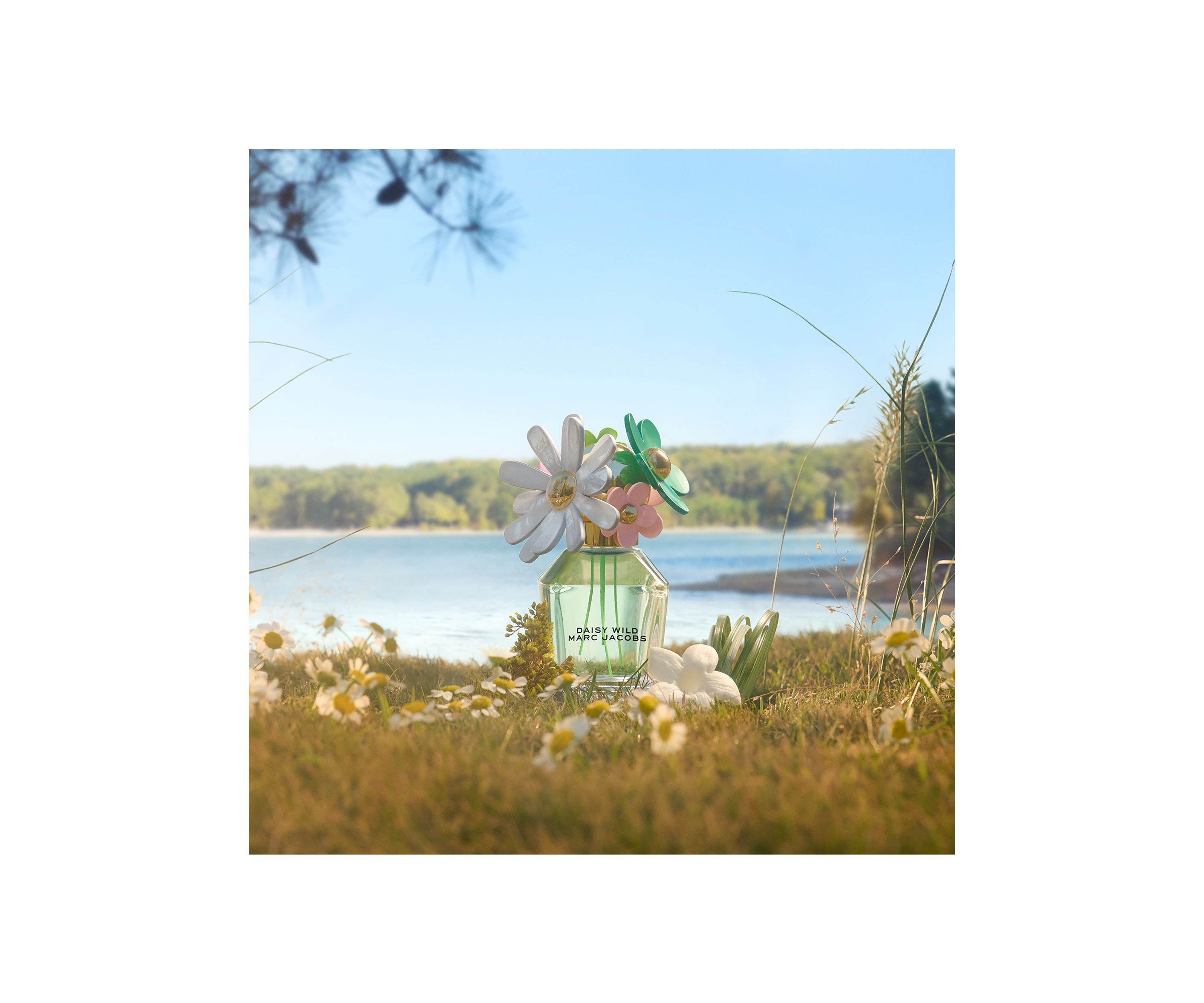 Daisy Wild Eau de Parfum