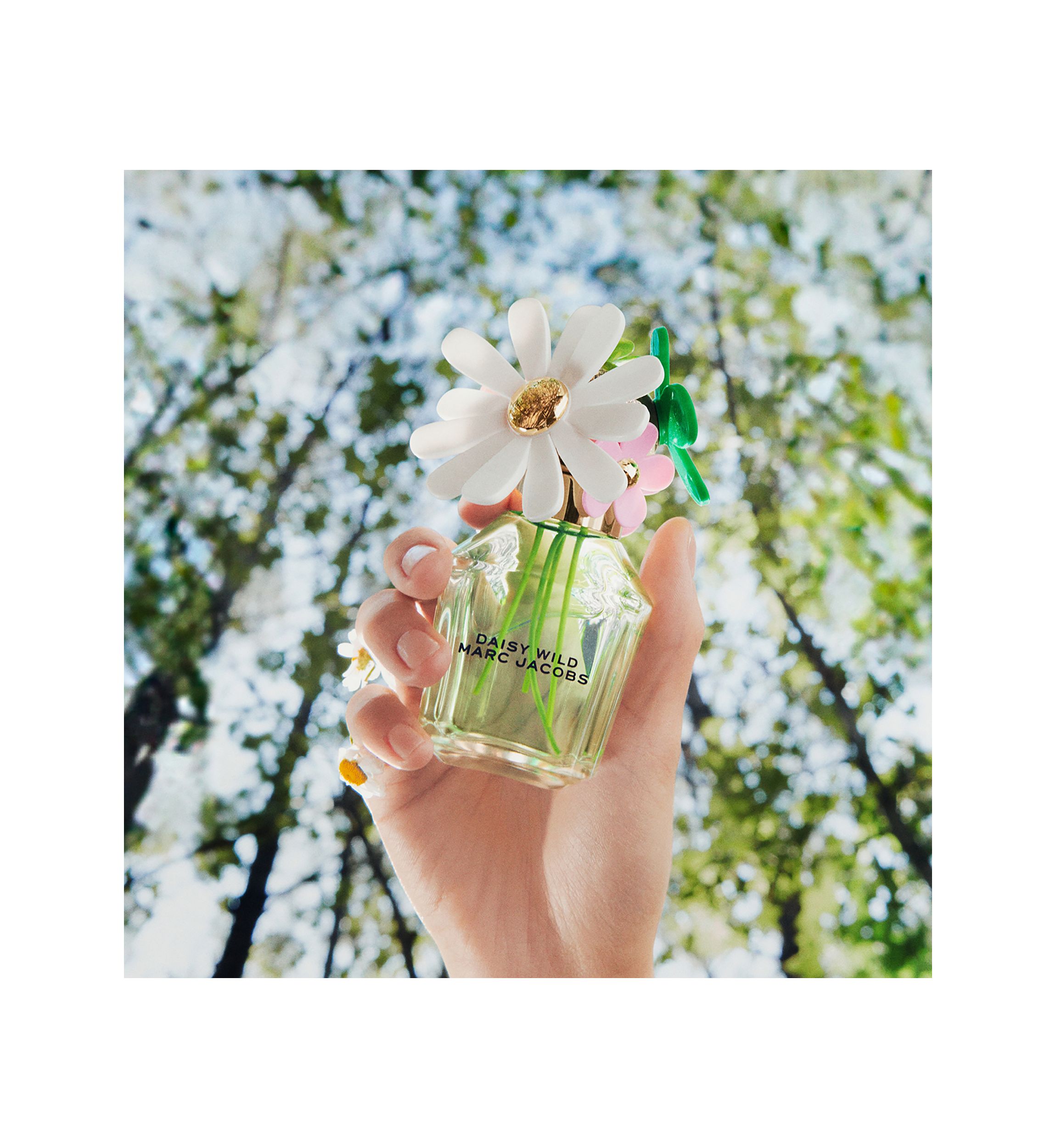 Daisy Wild Eau de Parfum