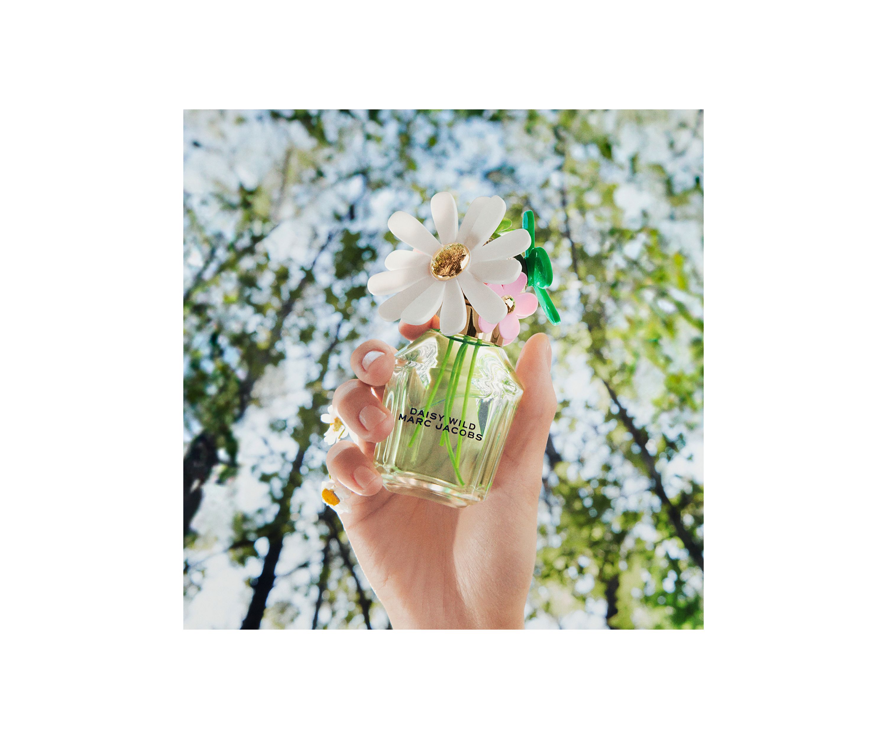 Daisy Wild Eau de Parfum